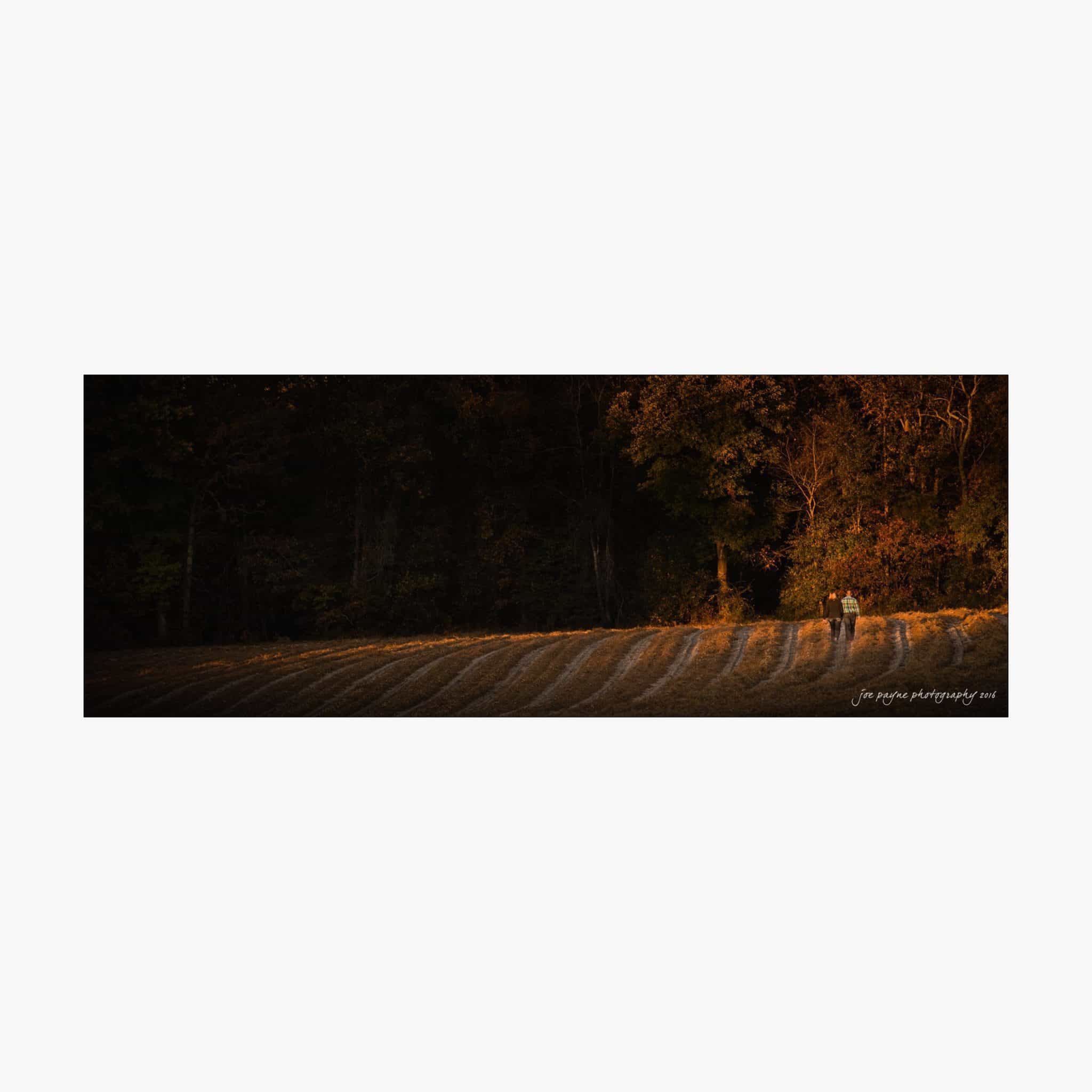 raleigh engagement photography | kim & jeff A couple walks hand in hand across a sunlit field at sunset. The ground is streaked with shadows, and a dark forest lines the backdrop, creating a contrast between the bright field and the dim, leafy trees.