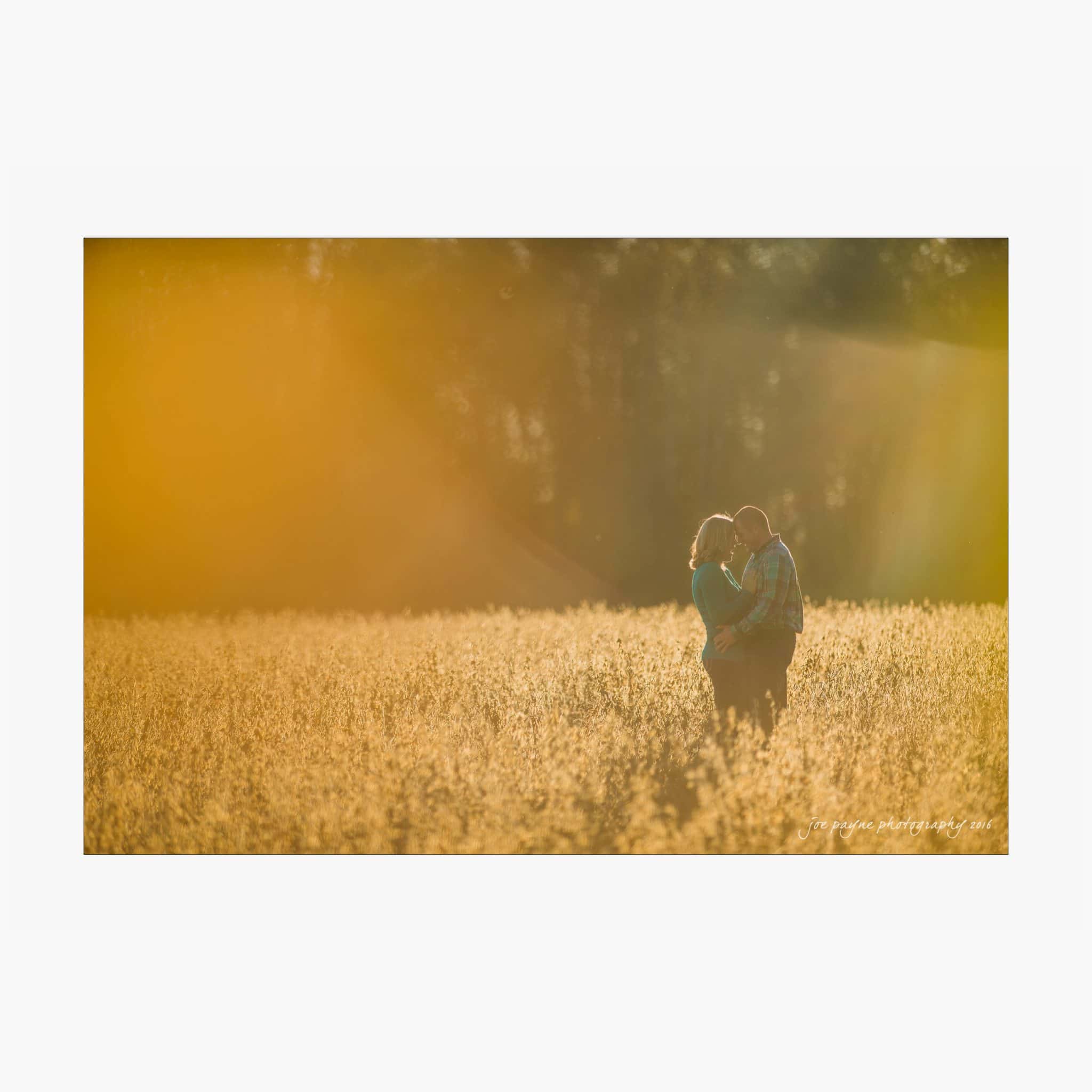 raleigh engagement photography | kim & jeff A couple stands close together in a sunlit field of tall grass. Warm, golden light surrounds them, creating a serene and romantic atmosphere.