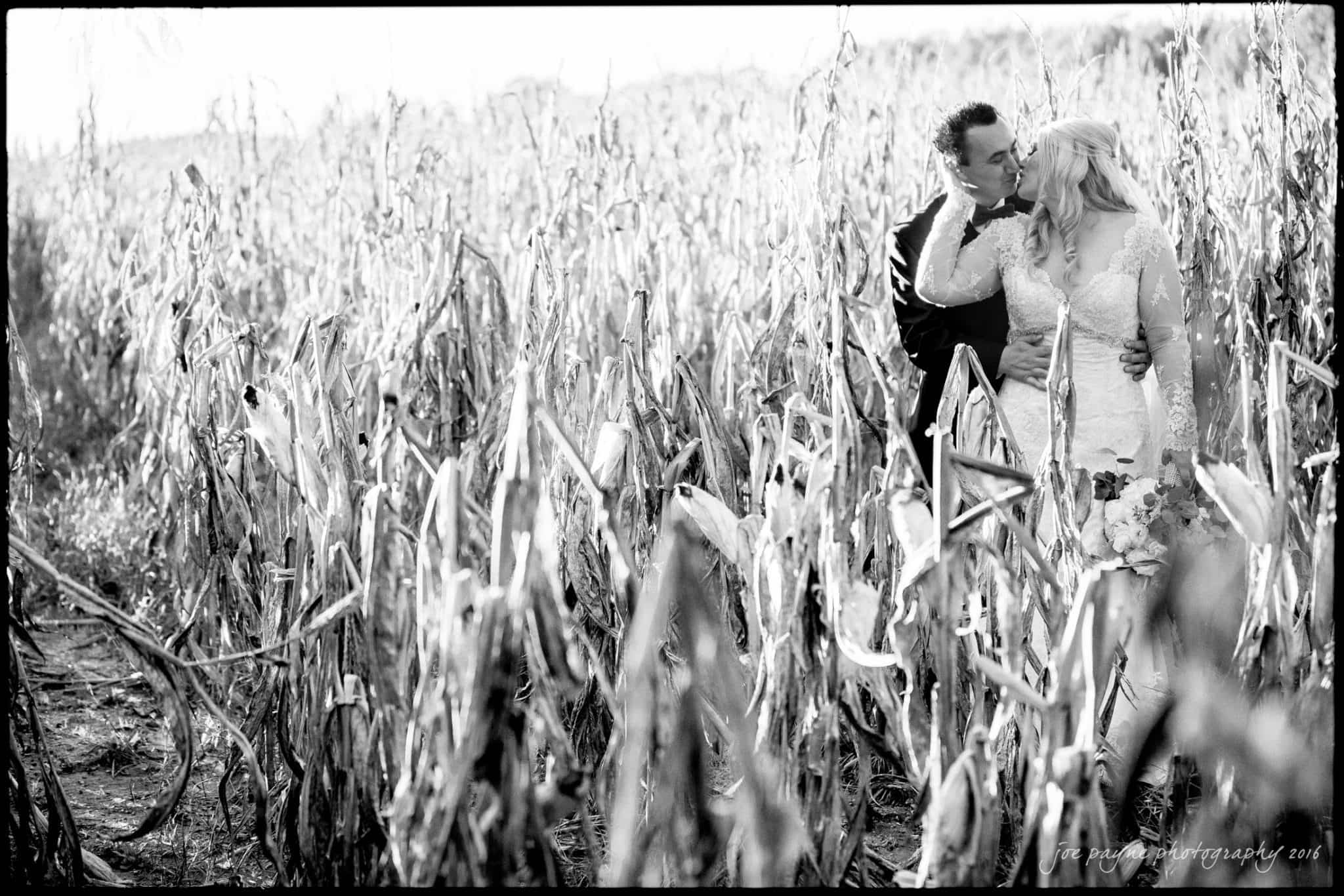 A couple in wedding attire shares a kiss in the middle of a dry cornfield. The bride wears a white dress, while the groom is in a suit. The image is in black and white, creating a timeless, romantic atmosphere.