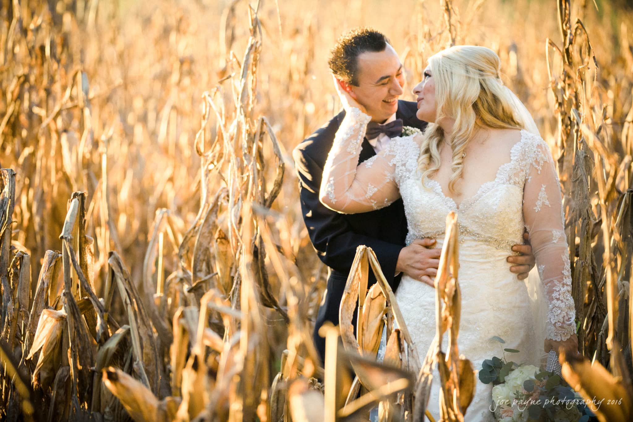 shady wagon farm wedding photography - danielle & josh A couple in wedding attire embraces lovingly in a sunlit cornfield. The bride, in a lace gown, touches the grooms face as they share a tender moment amidst the golden stalks. The setting sun adds a warm glow to the scene.