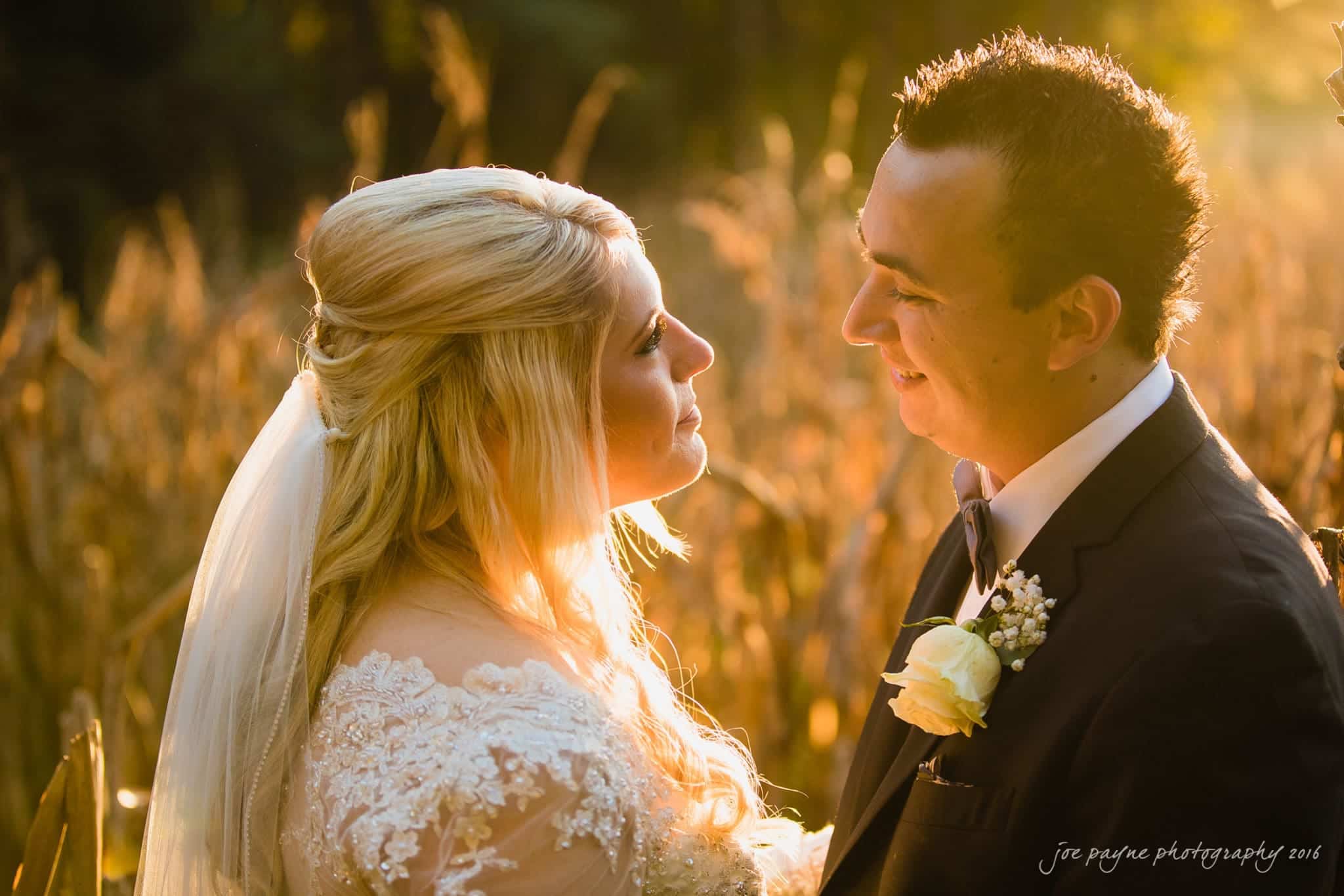 shady wagon farm wedding photography - danielle & josh A couple in wedding attire gazes into each others eyes, surrounded by tall grass and golden sunlight. The bride wears a lace gown and veil, while the groom is in a suit with a rose boutonniere.