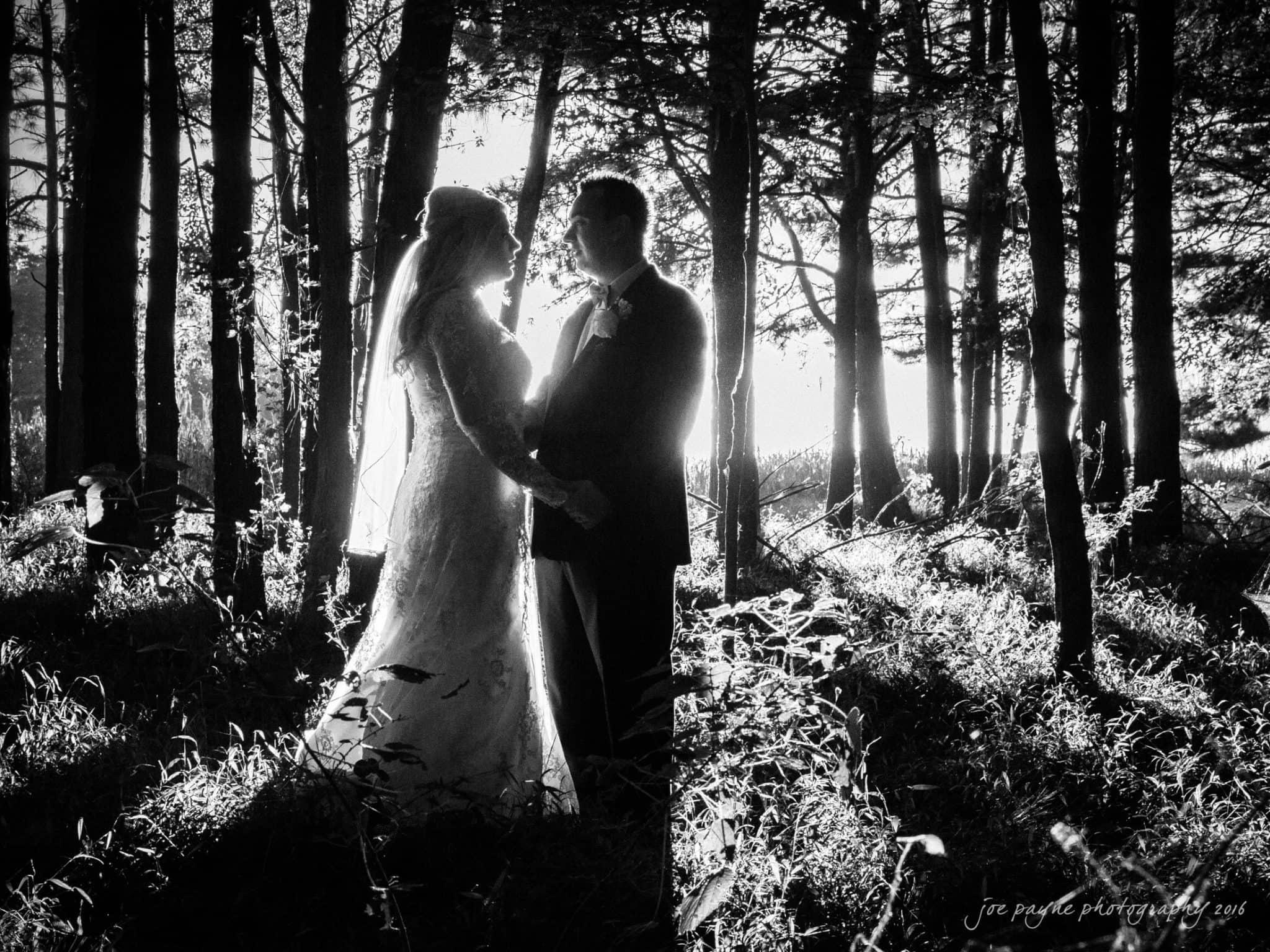 shady wagon farm wedding photography - danielle & josh A bride and groom hold hands in a sunlit forest, surrounded by silhouettes of trees. The bright light creates a dramatic contrast, highlighting the couples figures in this romantic black and white scene.