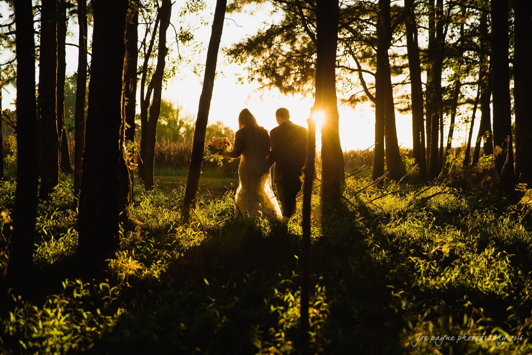 shady wagon farm wedding photography - danielle & josh A couple in wedding attire walks through a sunlit forest. The sun sets in the background, casting golden light and long shadows through the trees, creating a serene and romantic atmosphere.