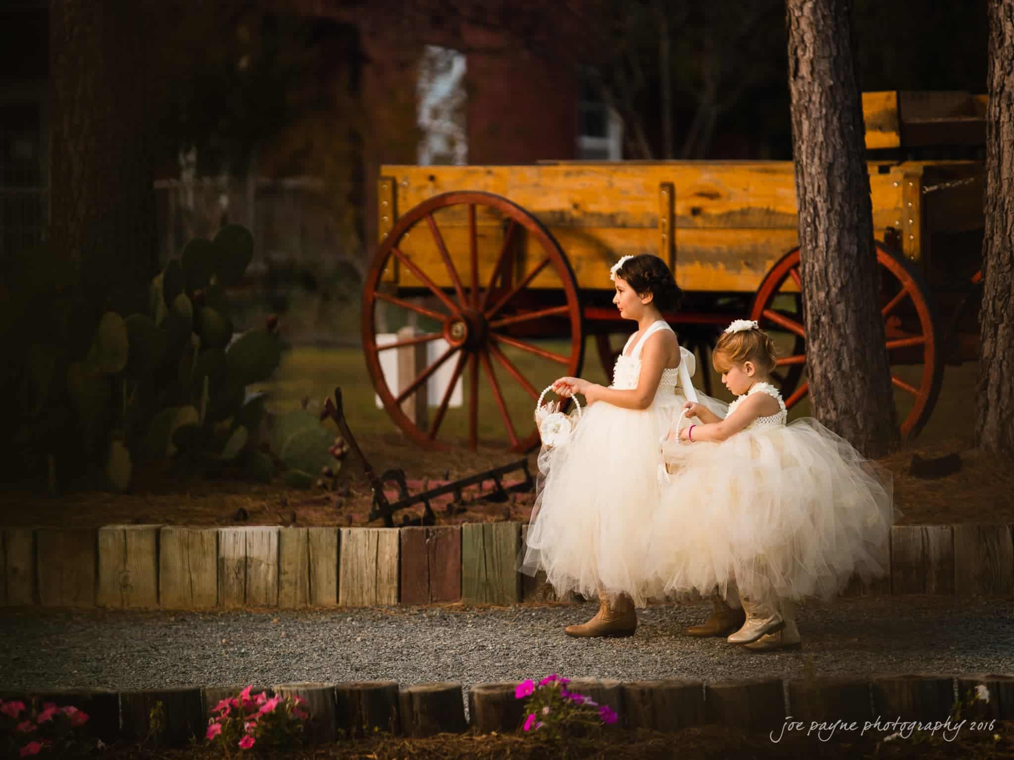 shady wagon farm wedding photography - danielle & josh Two young girls in white, fluffy dresses walk along a gravel path, each holding a flower basket. They are passing by a vintage wooden wagon, with trees and a garden visible in the background.