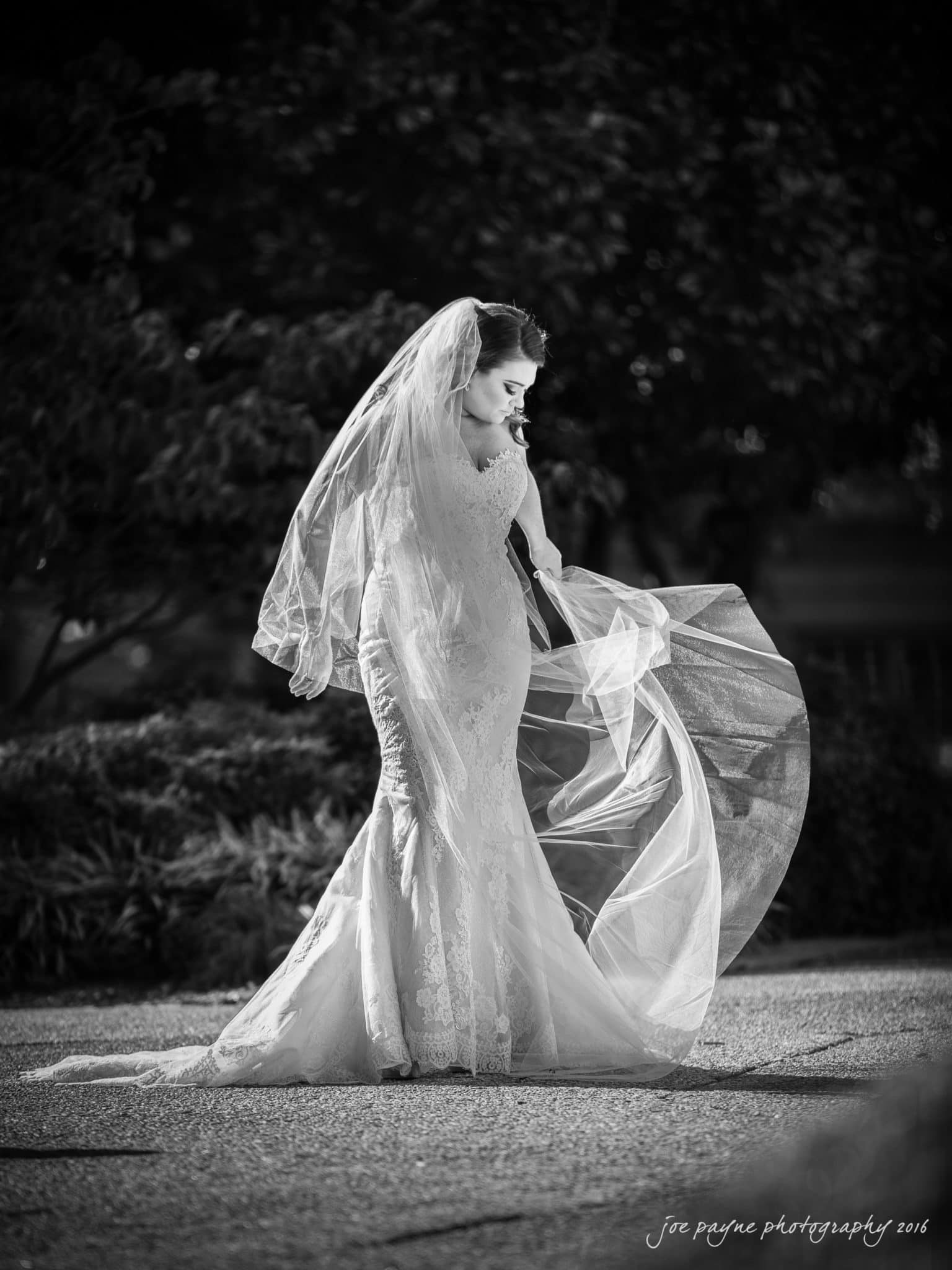 city club wedding photographer - lauren & adam A bride in a fitted lace wedding gown holds her veil gracefully, standing on a sunlit path. The veil flows elegantly, catching the light. The background is blurred, featuring foliage. The scene is in black and white.