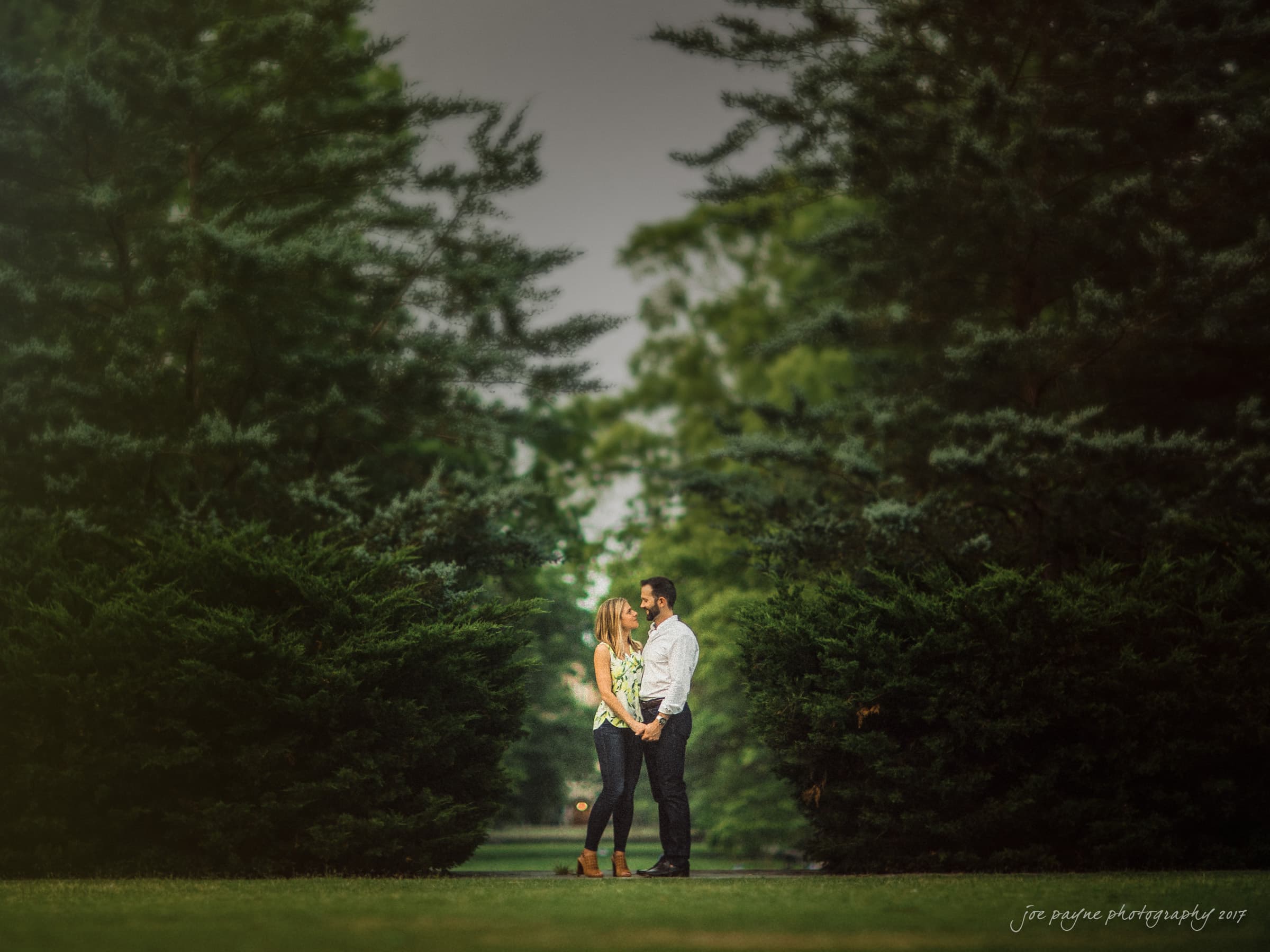 A couple holds hands and gazes at each other while standing on a path lined with lush green trees. The scene is serene and romantic, with soft, muted colors.