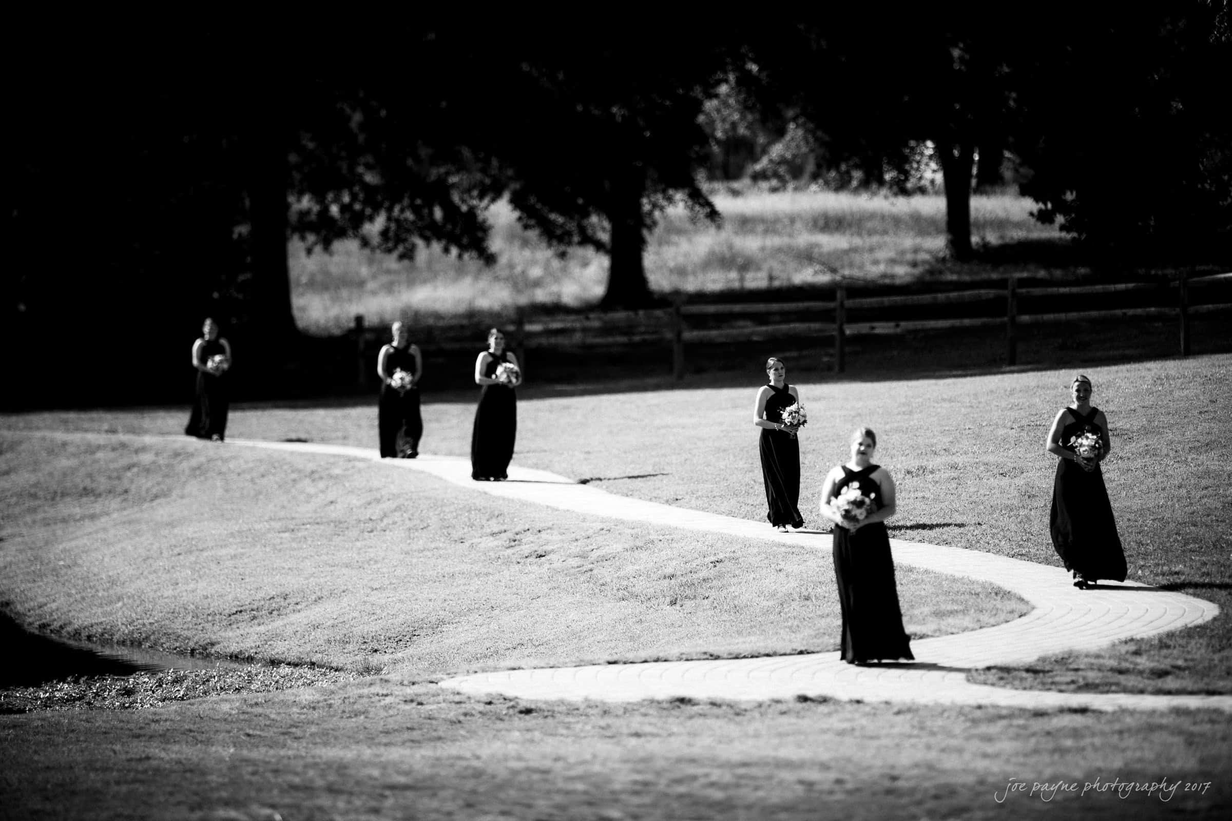 Five people in dark dresses walk along a winding path through a grassy field, each holding a bouquet. Trees and a fence line the background. The image is in black and white, creating a serene and timeless atmosphere.