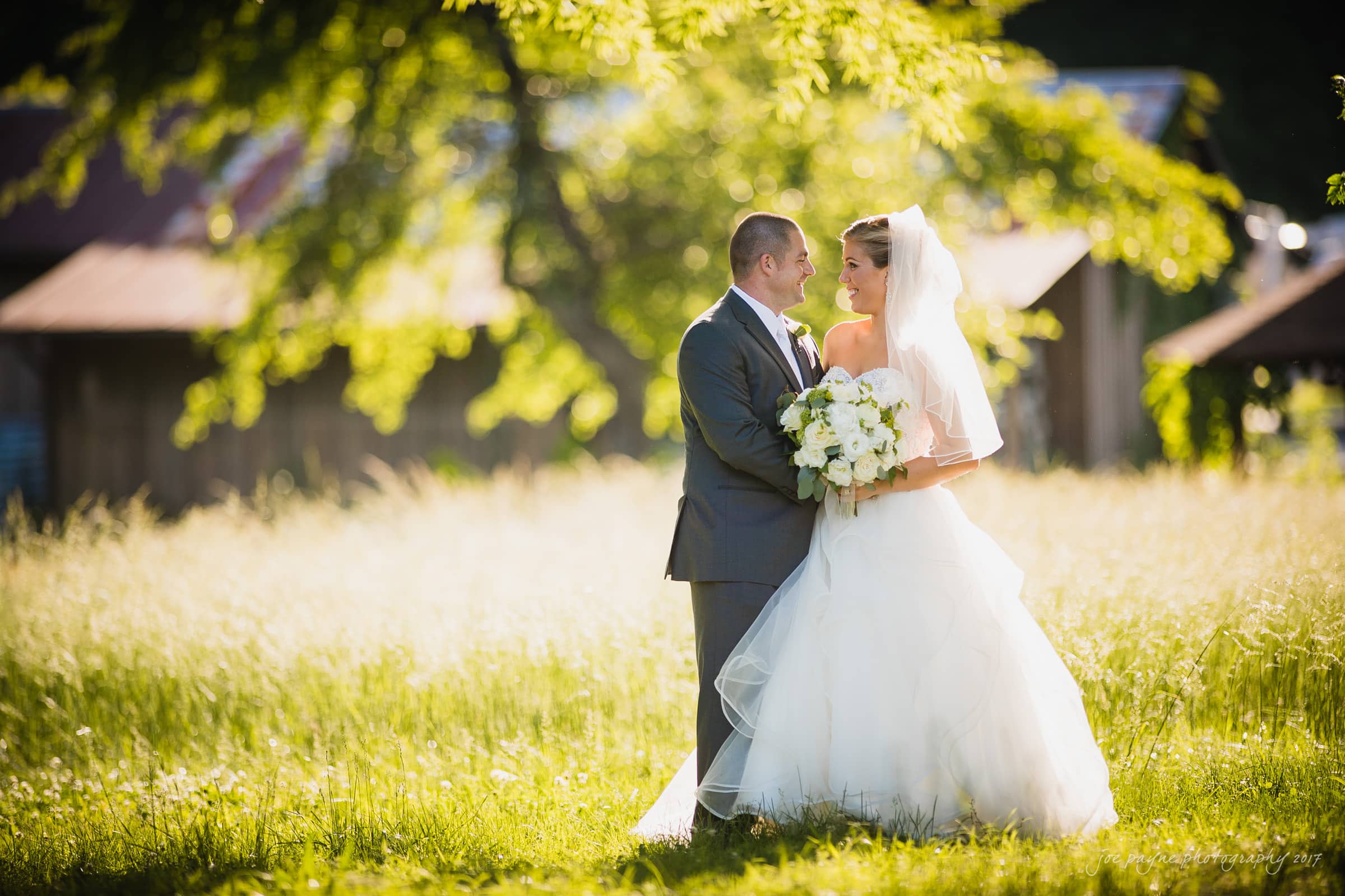 A bride and groom stand facing each other in a sunlit field. The bride holds a bouquet of white flowers and wears a flowing white dress with a veil, while the groom is in a gray suit. Trees and rustic buildings are in the background.