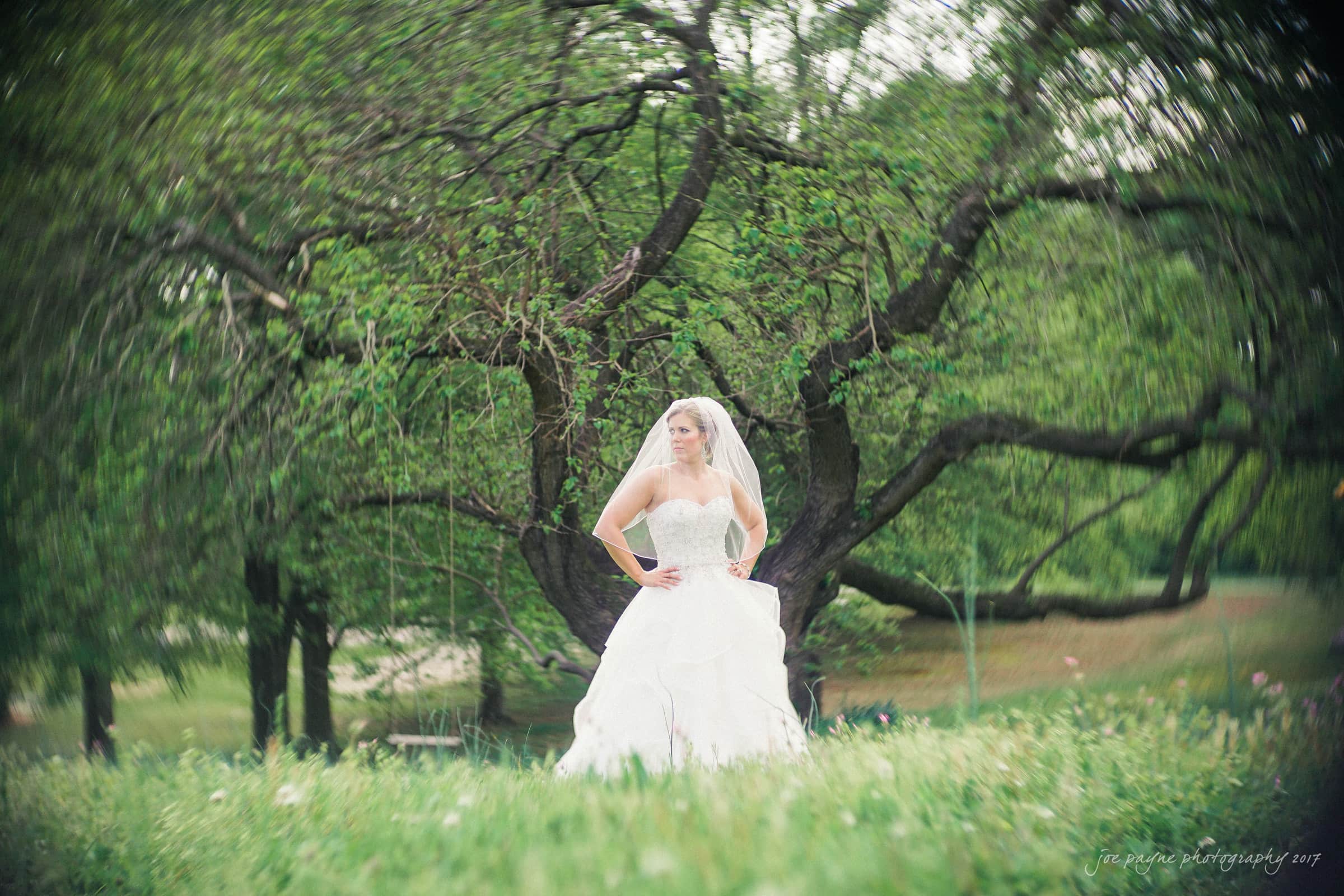 A bride stands confidently in a lush green field, wearing a white wedding dress and veil. The background features a large, leafy tree with sprawling branches, adding a natural, serene atmosphere to the scene.
