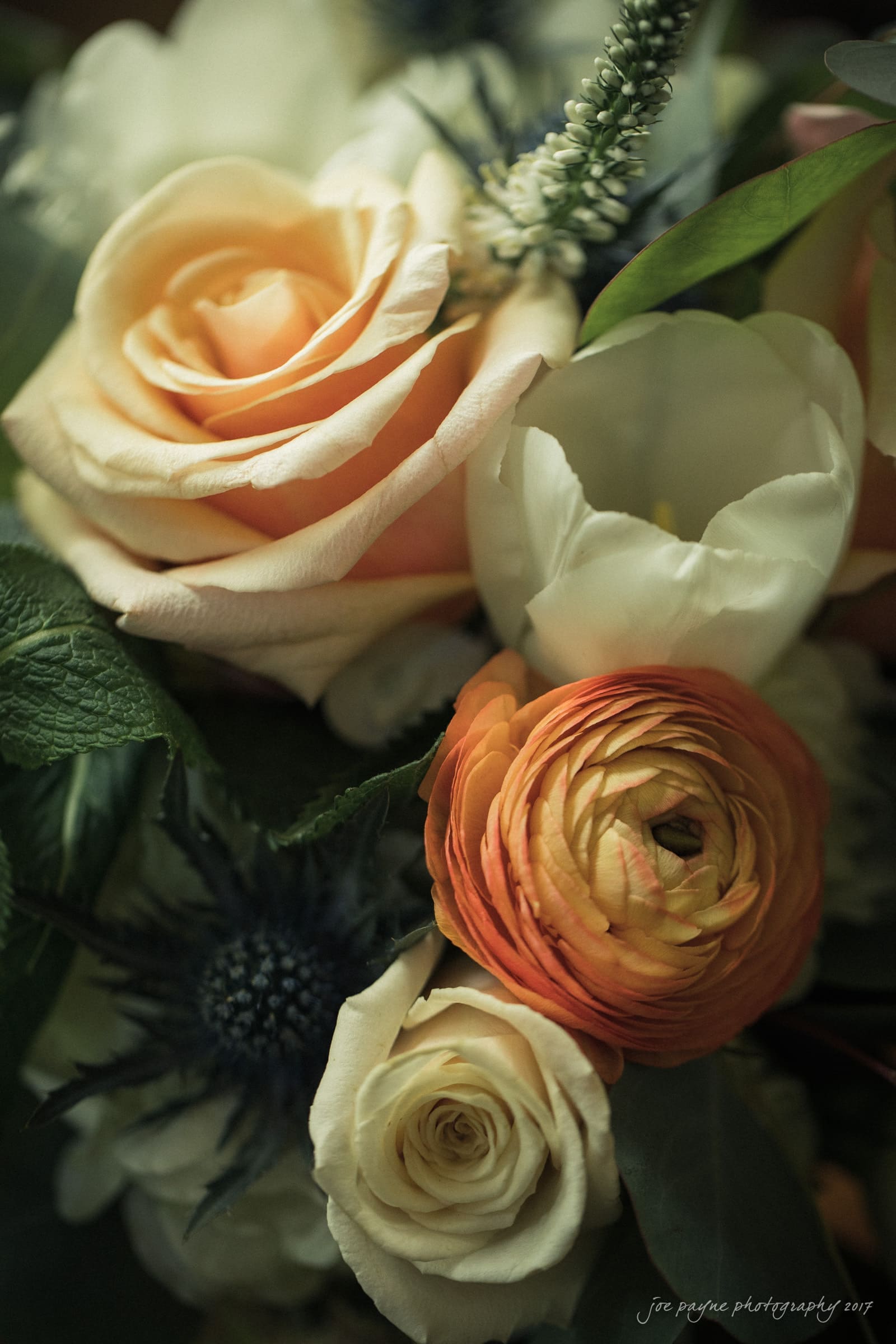 A close-up of a bouquet featuring peach roses, white roses, orange ranunculus, and deep green leaves. Blue thistle flowers add texture amid the soft petals, creating a lush, vibrant arrangement.