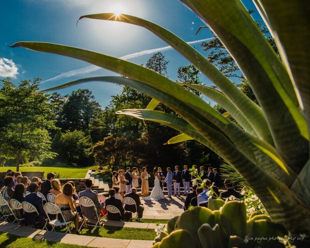 duke gardens wedding photography - jordan & zeke A sunny outdoor wedding ceremony with guests seated on white chairs. The couple is standing with the bridal party in front of them. The scene is framed by large green leaves in the foreground, with a bright blue sky and trees in the background.
