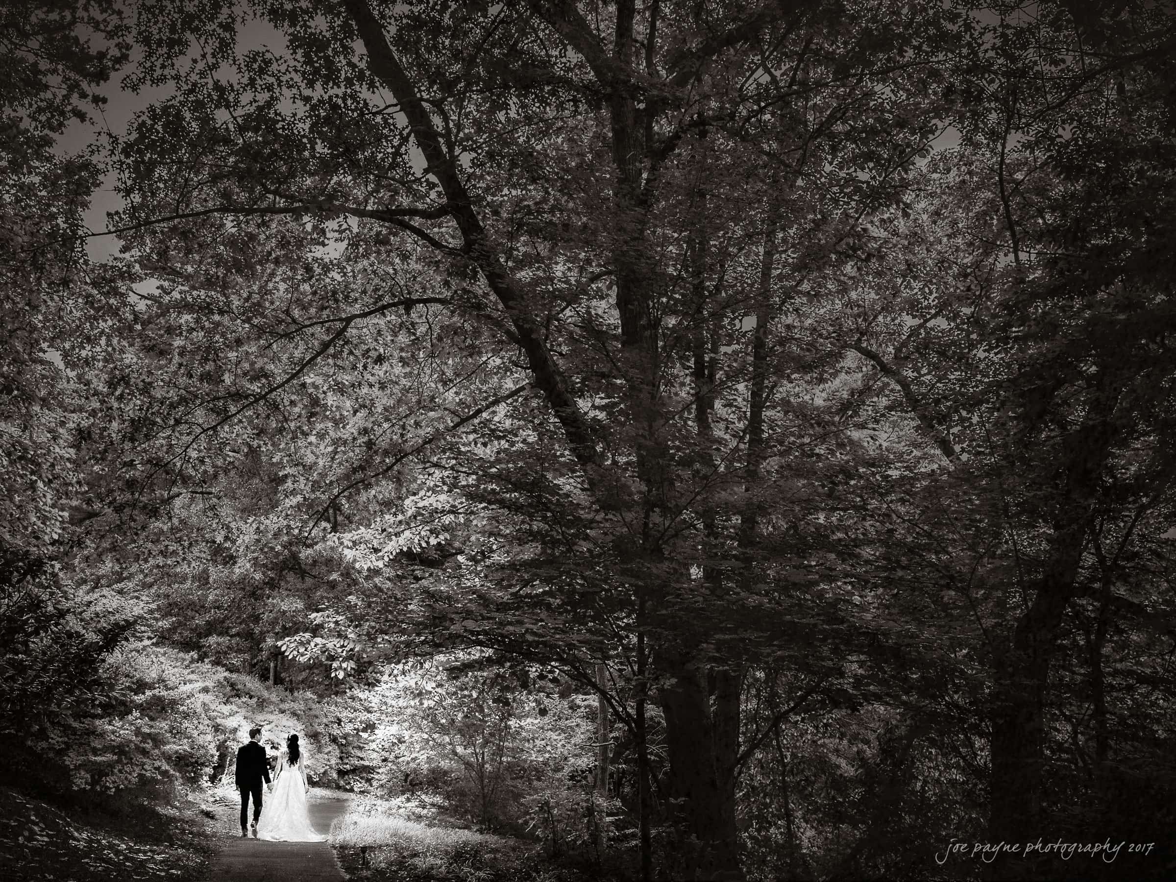 A black and white photograph shows a bride and groom walking hand in hand along a tree-lined path. Sunlight filters through the dense foliage, creating a serene, romantic atmosphere in the woodland setting.