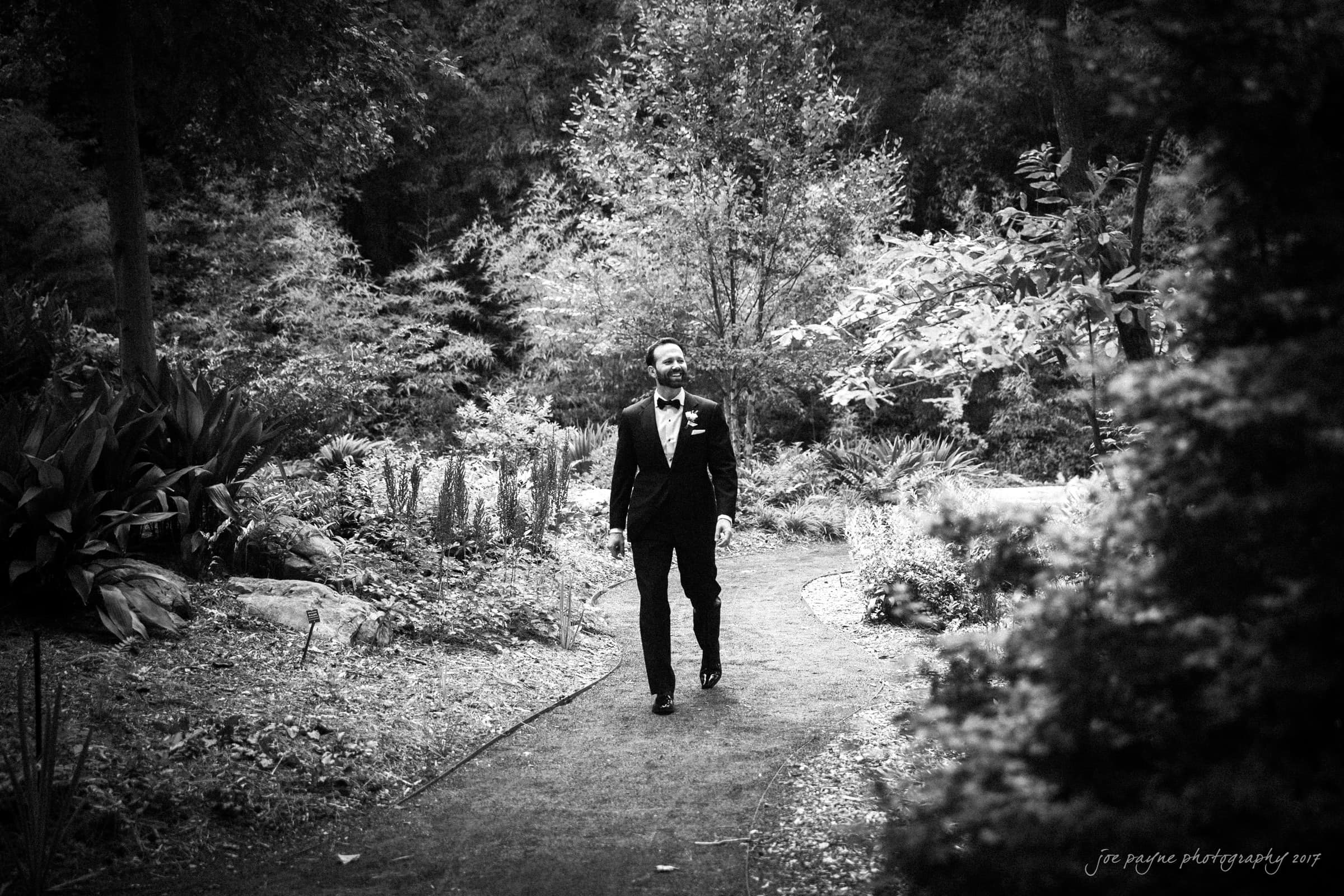 A man in a suit walks along a path in a lush garden. The black-and-white photo captures him surrounded by tall trees and dense foliage, giving the scene a serene and elegant atmosphere.