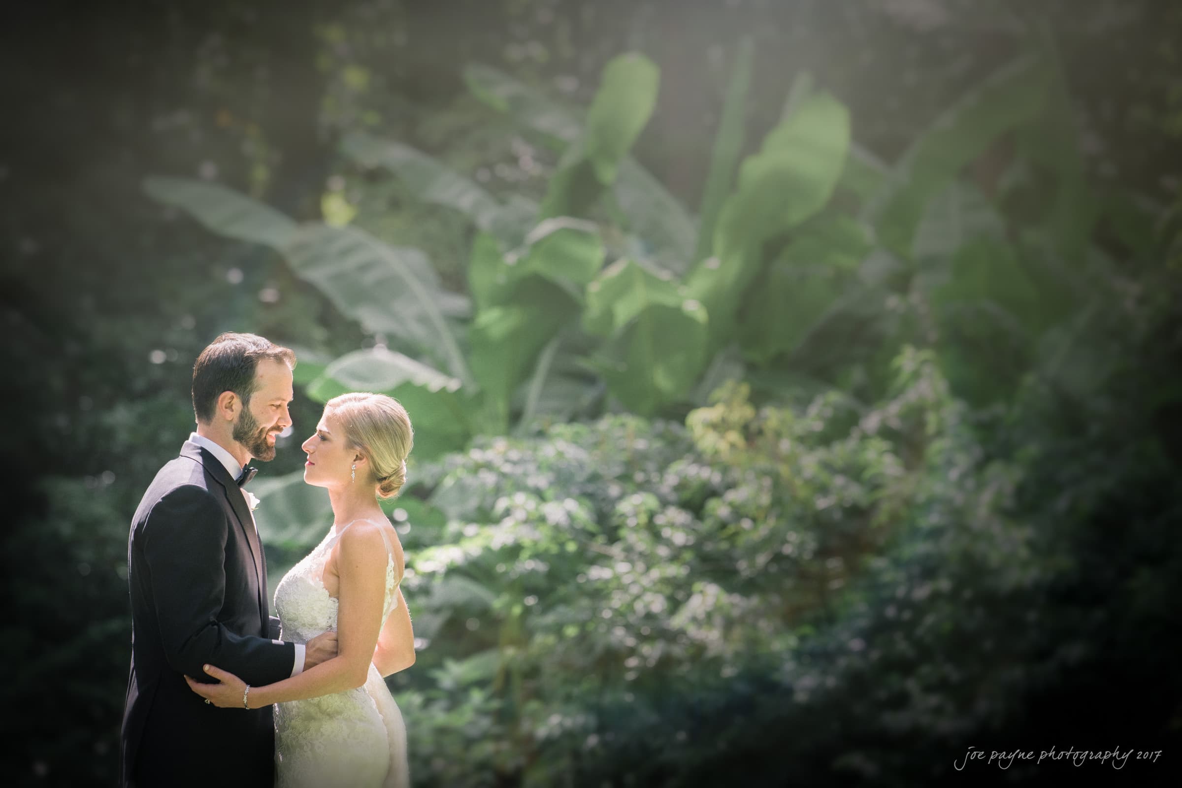 A couple in wedding attire lovingly embrace in a lush garden setting, with sunlight filtering through large green leaves. The bride wears a strapless gown and the groom is in a dark suit.