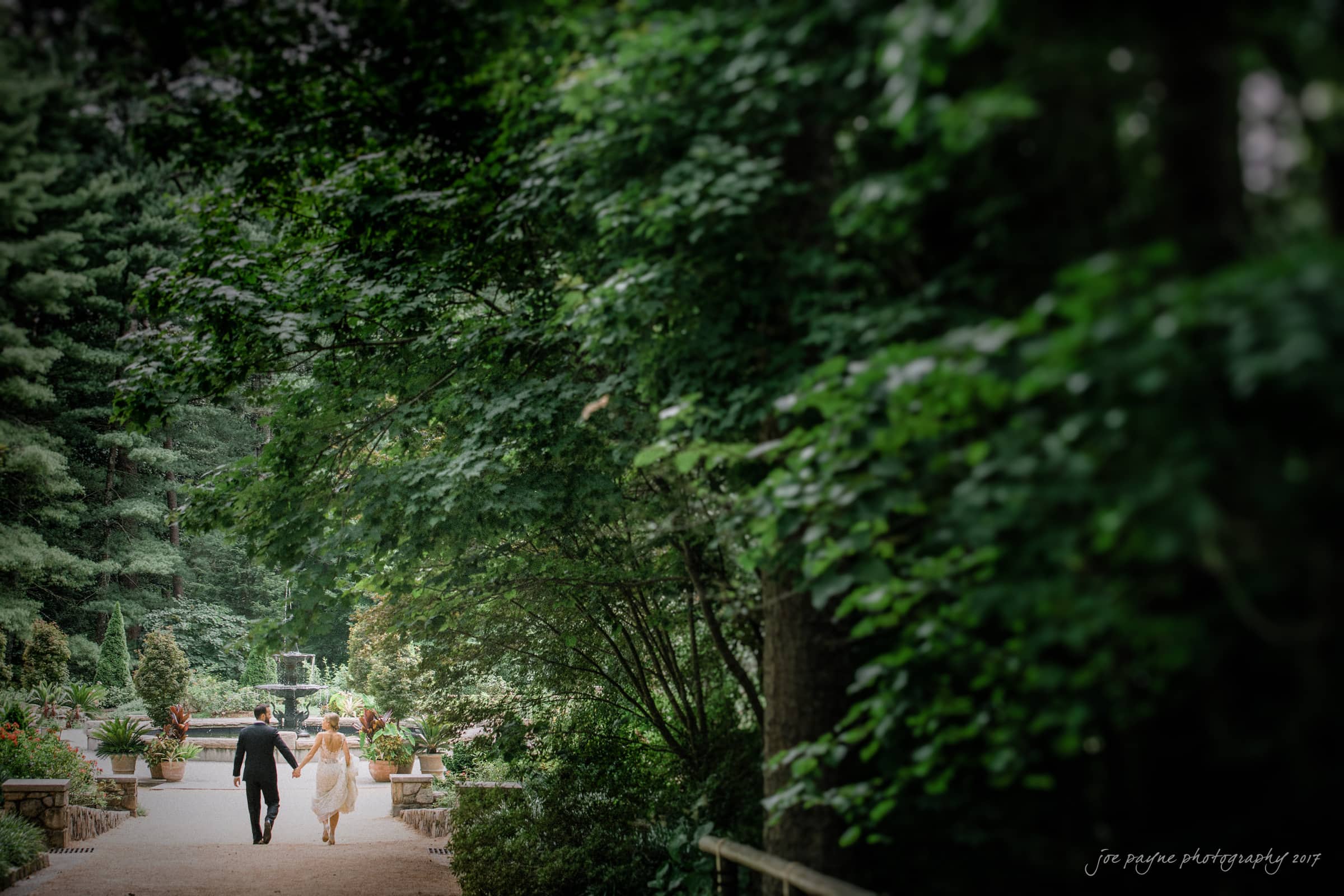 A couple walks hand in hand along a tree-lined path in a lush garden. Sunlight filters through the leaves, creating a serene, romantic atmosphere.