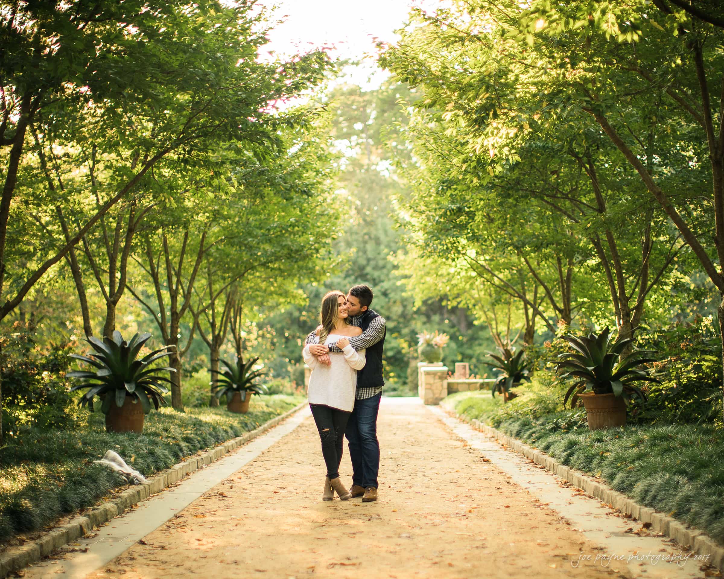 A couple embraces on a tree-lined path in a garden, surrounded by lush greenery and potted plants. The sunlight filters through the leaves, casting a warm glow over the scene.