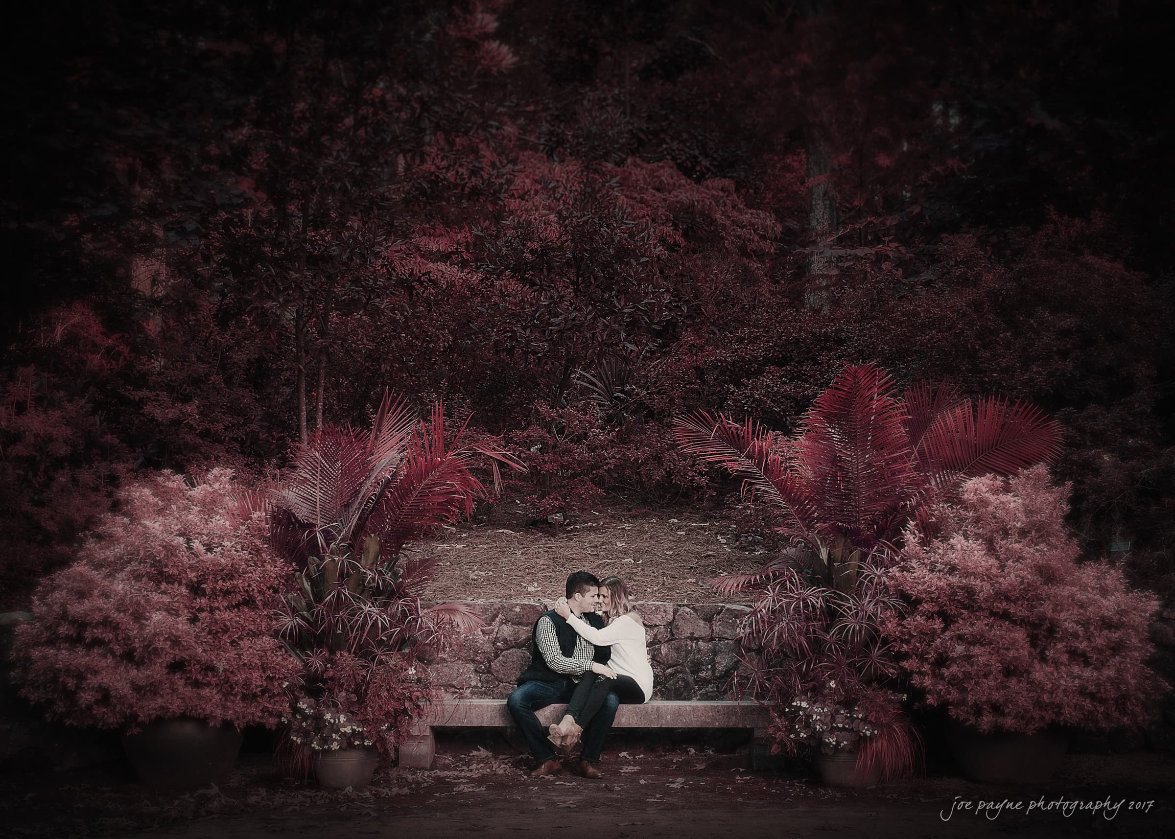 A couple sits closely on a stone bench surrounded by lush foliage in a garden setting. The image has a dreamy, soft focus with reddish tones and shaded greenery, enhancing the romantic atmosphere.