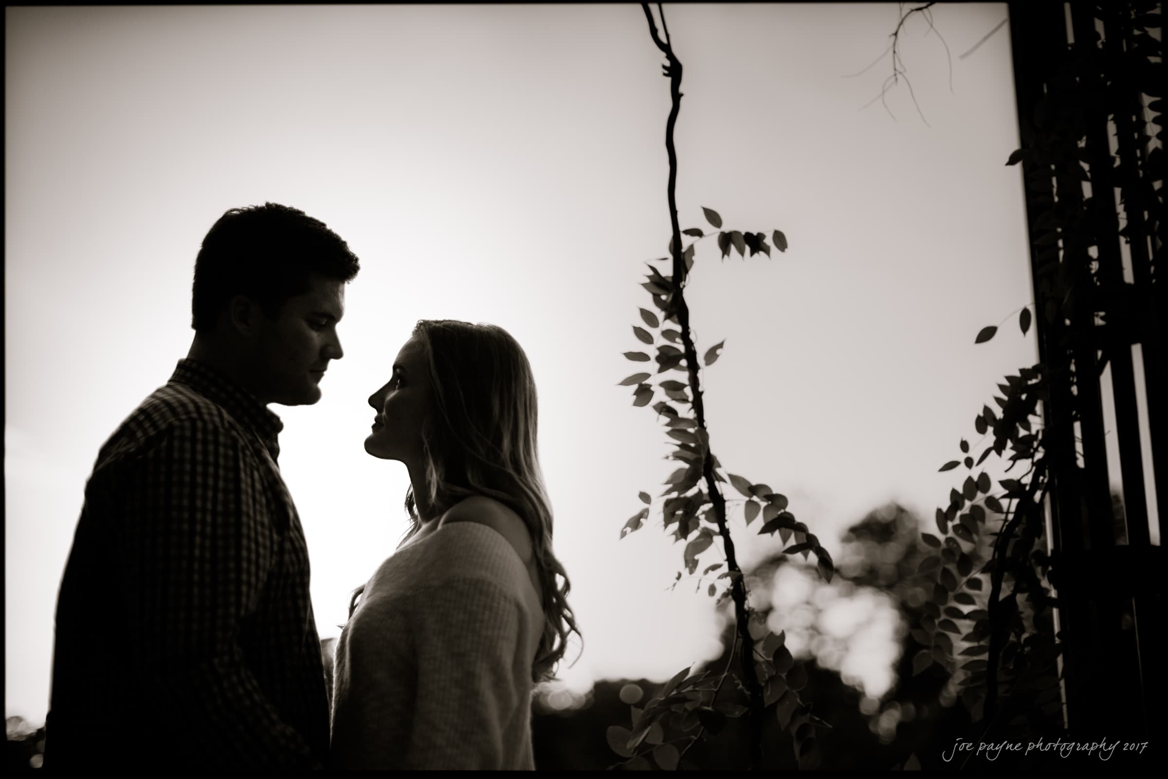 Silhouette of a couple facing each other against a bright sky at sunset. They stand close together, surrounded by vine-covered branches, creating a romantic and peaceful scene.