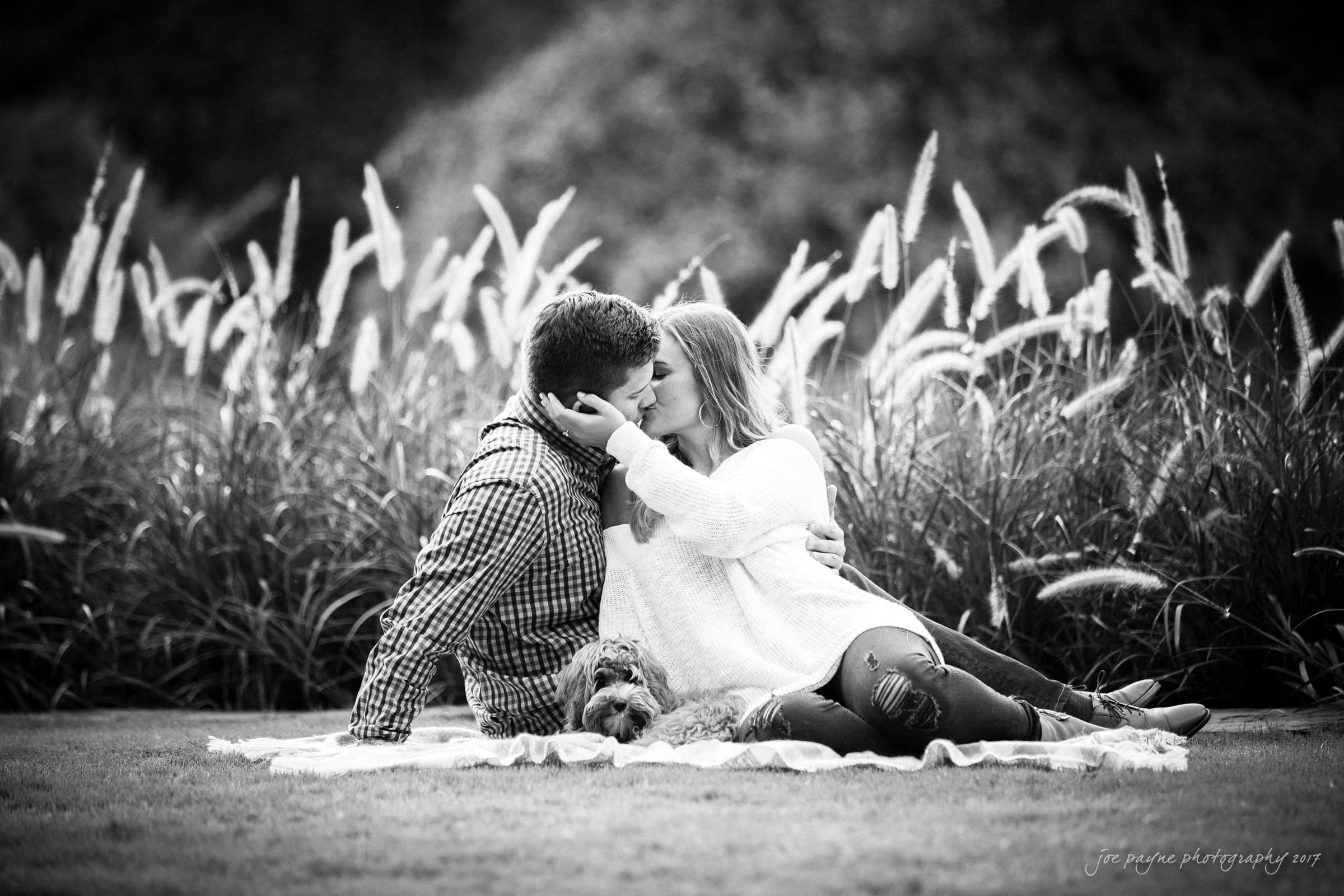 A couple sits on a blanket, kissing, with their dog lying beside them. They are in a grassy area surrounded by tall ornamental grasses. The image is in black and white.