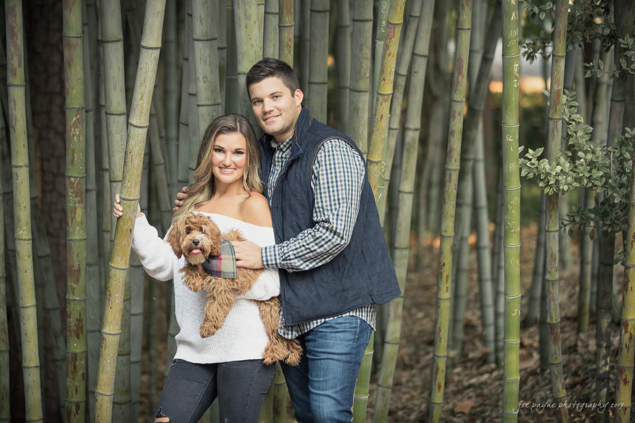 A couple stands together in a bamboo forest, smiling at the camera. The woman holds a small, fluffy brown dog. She wears a white sweater, and the man wears a blue vest over a plaid shirt. The setting is calm and natural.