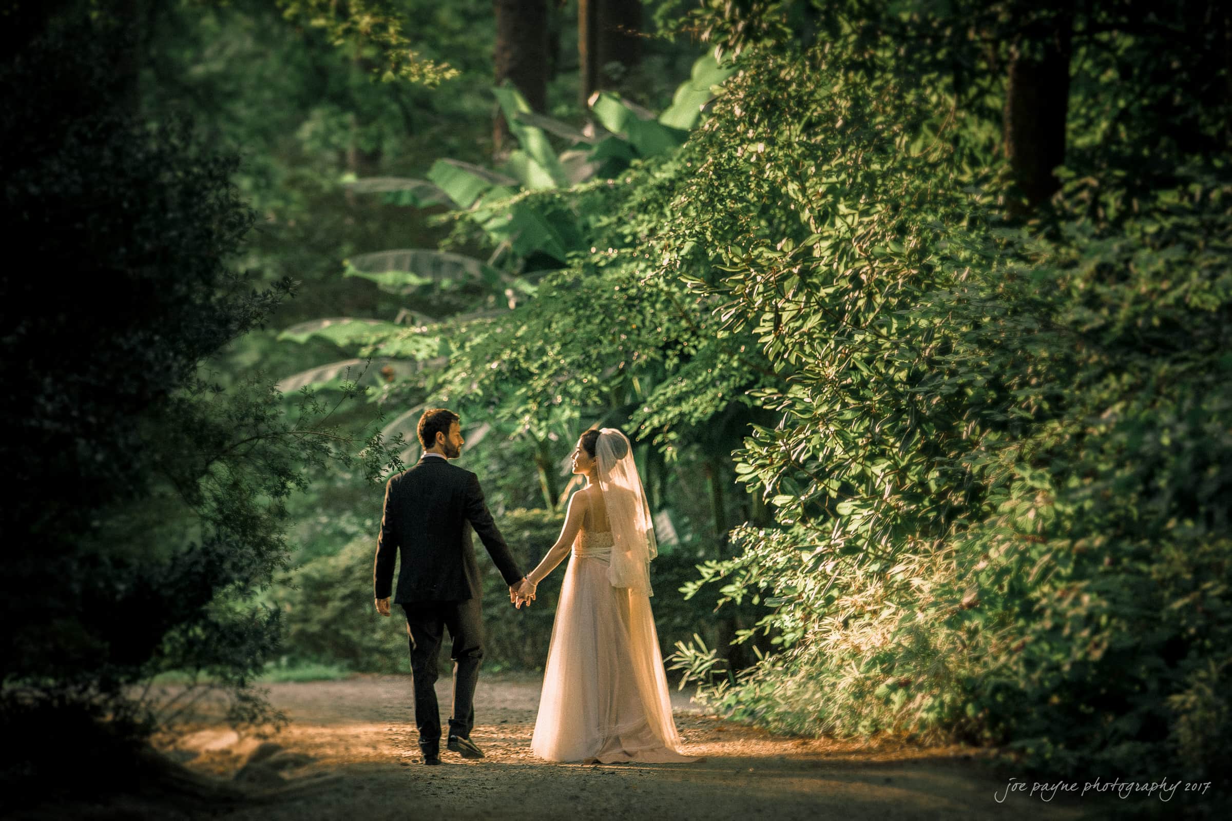 A bride and groom holding hands while walking down a forest path. Sunlight filters through the trees, highlighting the couple and the lush greenery surrounding them. The bride wears a long dress and veil, and the groom is in a dark suit.
