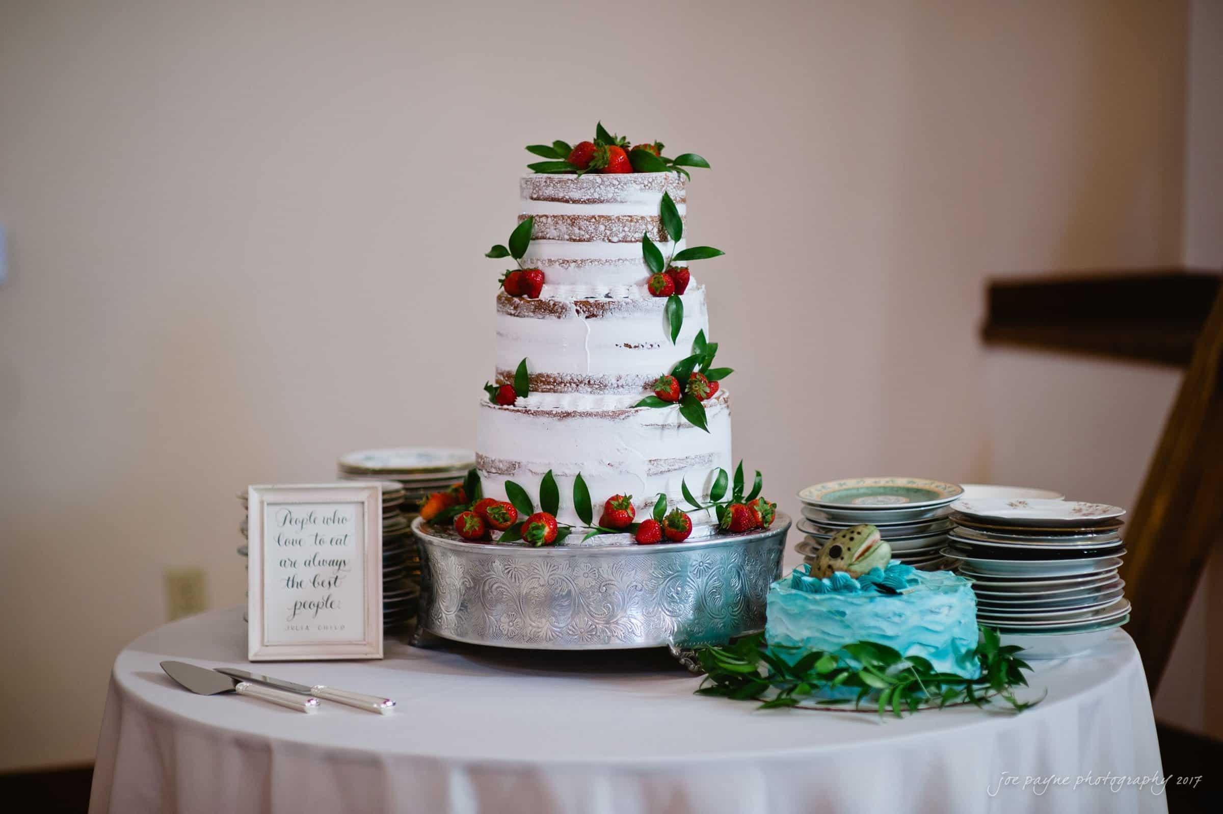 winmock nc wedding photographer - hallie & cullen A table holds a four-tier naked cake adorned with strawberries and greenery, alongside a smaller blue cake with a topper. A stack of plates and a framed sign are also on the table, all set against a neutral backdrop.