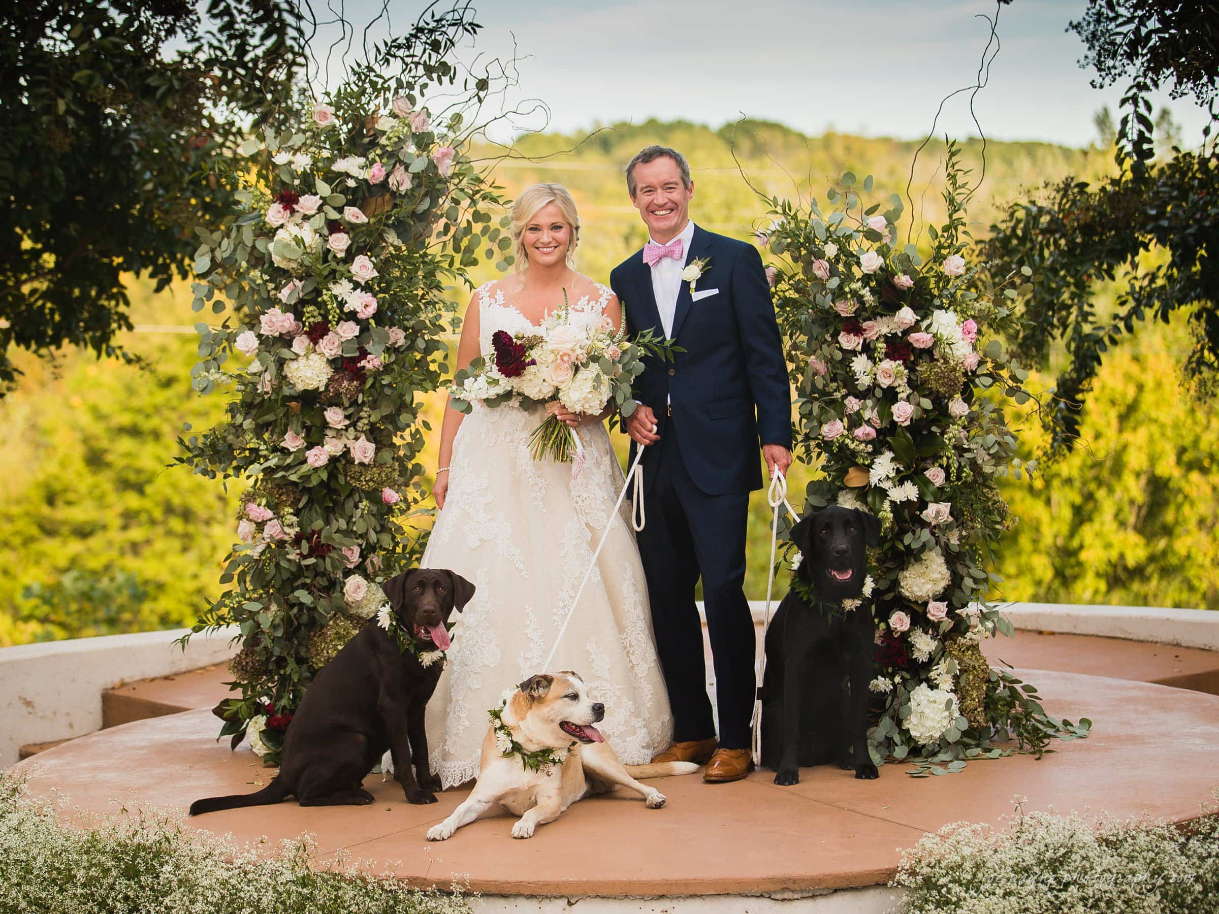 winmock nc wedding photographer - hallie & cullen A bride and groom stand smiling, holding hands, surrounded by floral arrangements. Three dogs, two dark and one light, sit in front of them on leashes. The background features lush greenery under a clear sky.