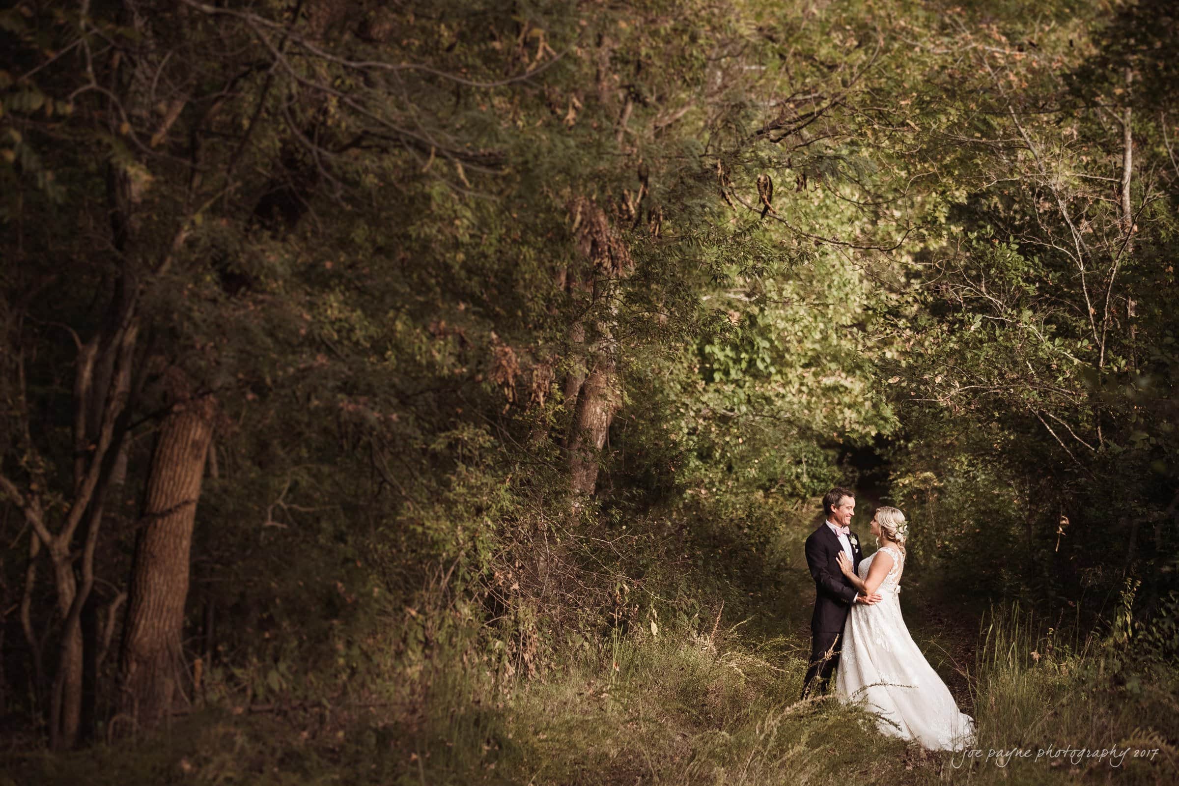 A bride and groom stand in a lush, green forest. They are holding hands and gazing at each other lovingly, surrounded by trees and sunlight filtering through the leaves.