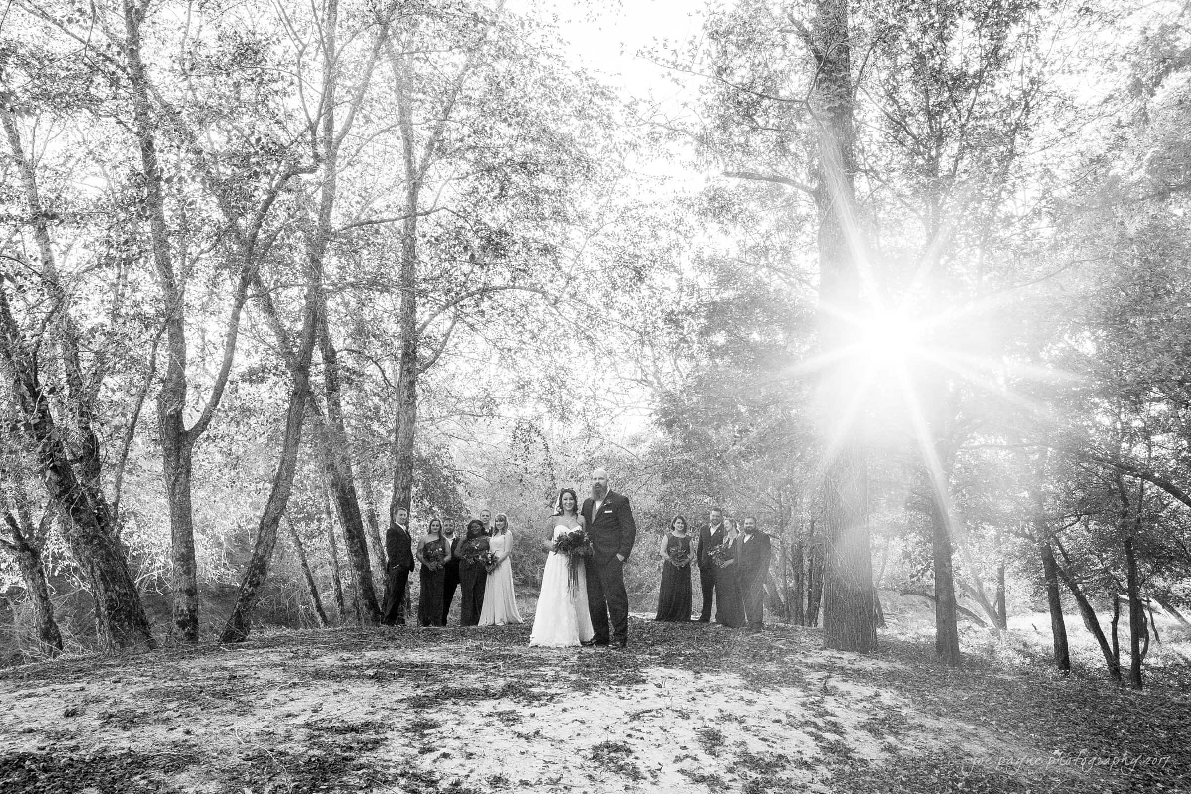 river landing country club wedding - megan & chad A black and white photo of a wedding party in a forest. The bride and groom stand together in the center, surrounded by bridesmaids and groomsmen. Sunlight shines through the trees, creating a glowing effect.
