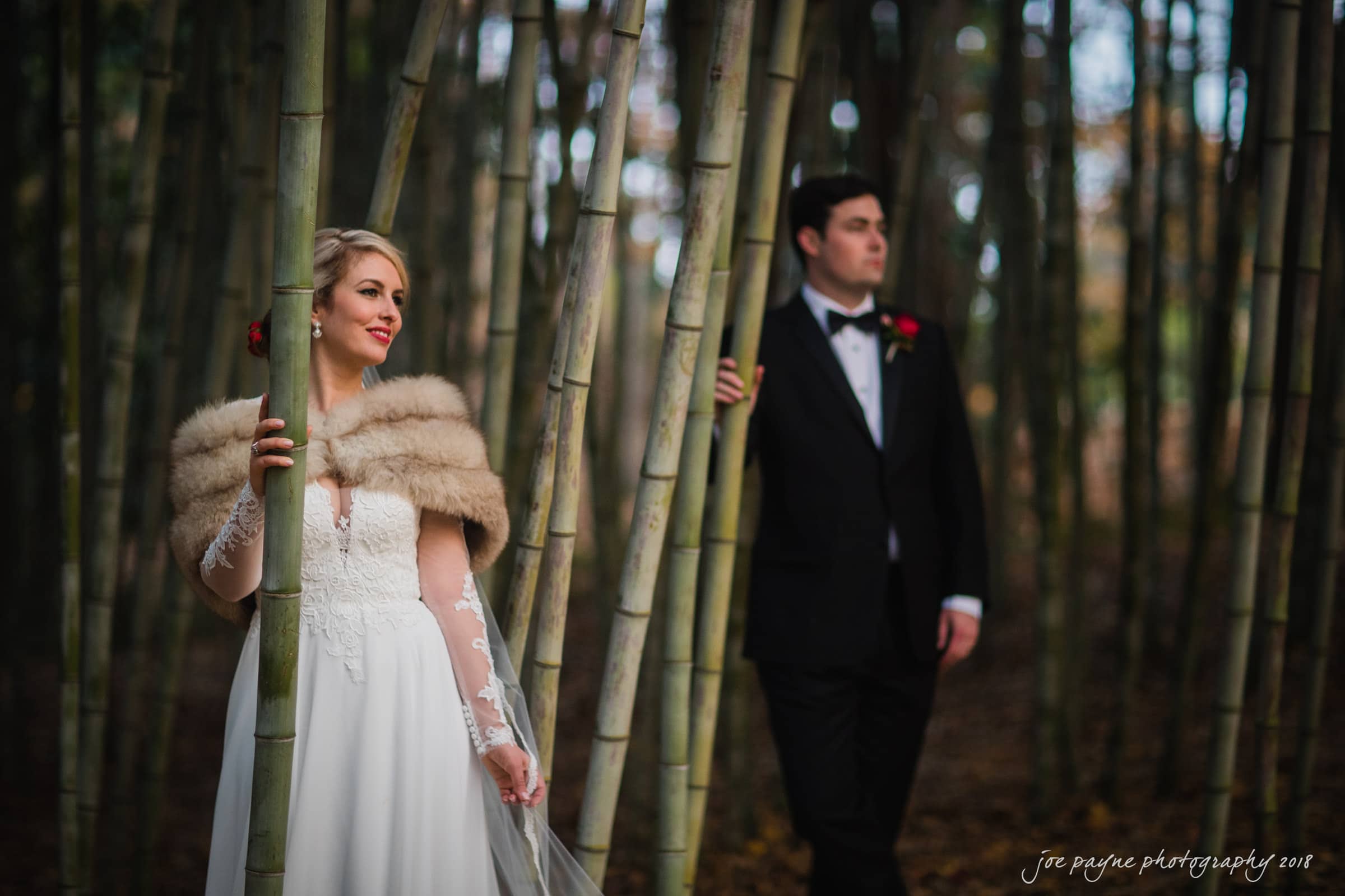 A bride in a white dress and fur stole and a groom in a black tuxedo stand among tall bamboo stalks in a forest. The bride looks to the side, and the groom gazes ahead. The scene is softly lit, creating a serene atmosphere.