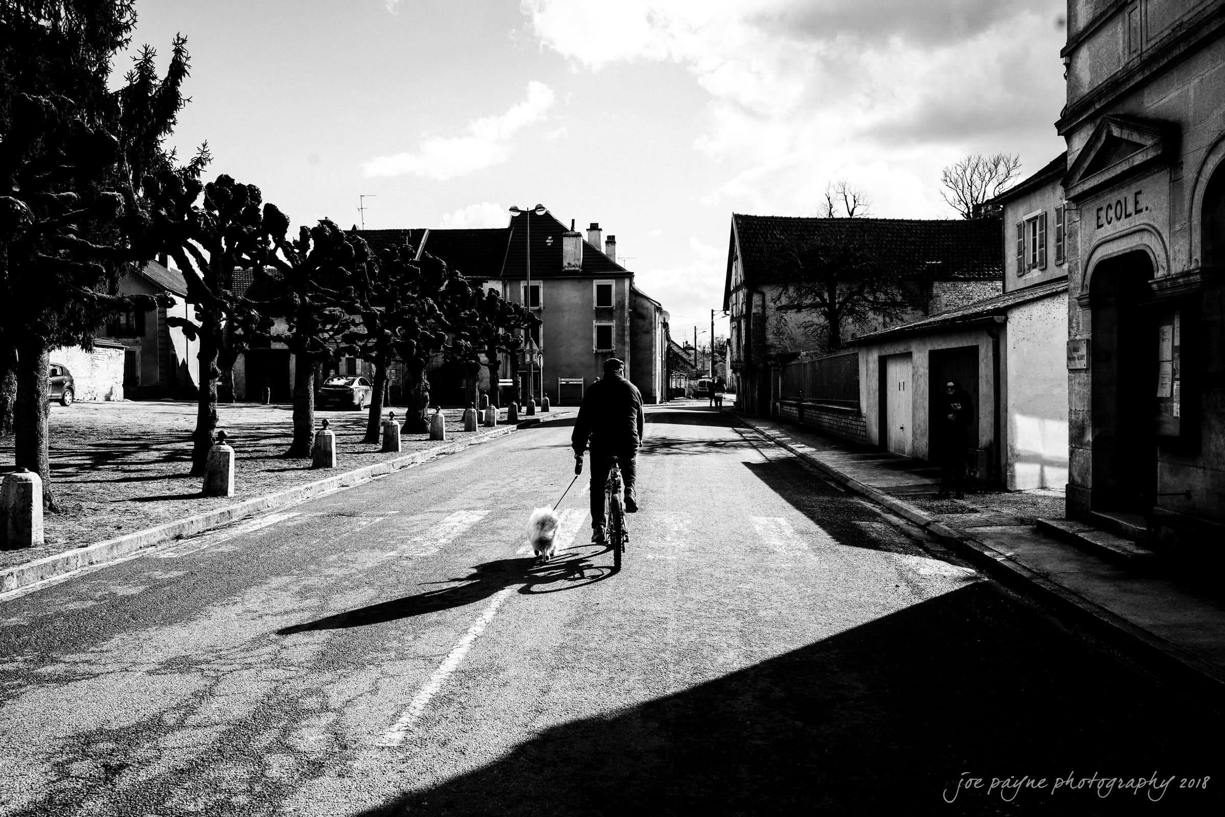 parker j pfister's french revolution workshop review A black and white photo of a quiet street with a person riding a bicycle while walking a dog on a leash. Leafless trees line the road, and a building labeled ECOLE is visible on the right.
