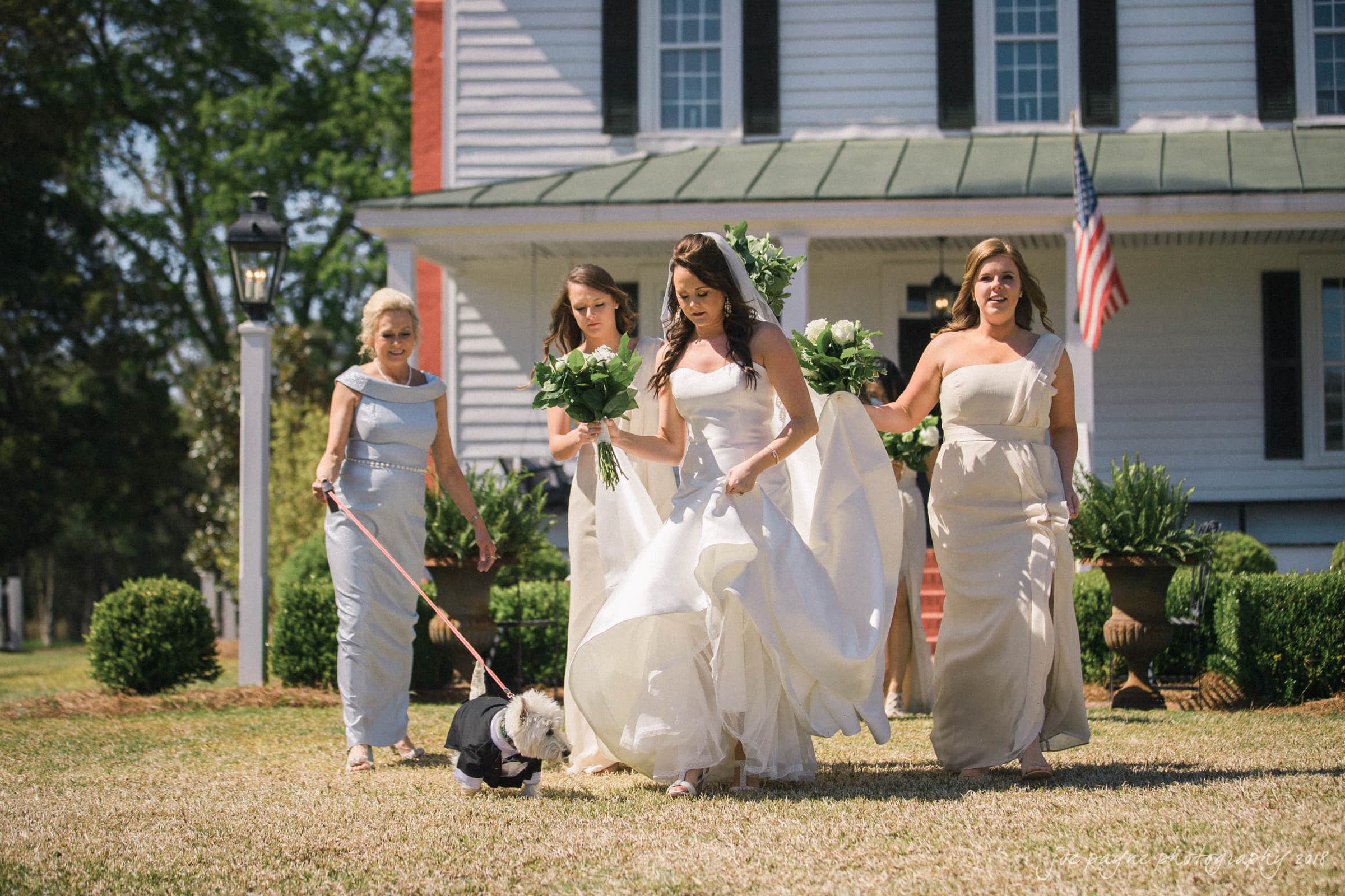 may-lew farm wedding photography - macy & jordan A bride in a flowing white gown walks across a lawn with three bridesmaids, all in off-white dresses. They are smiling and holding bouquets. A small dog on a leash, dressed in a tuxedo, walks alongside them. An American flag is visible in the background.