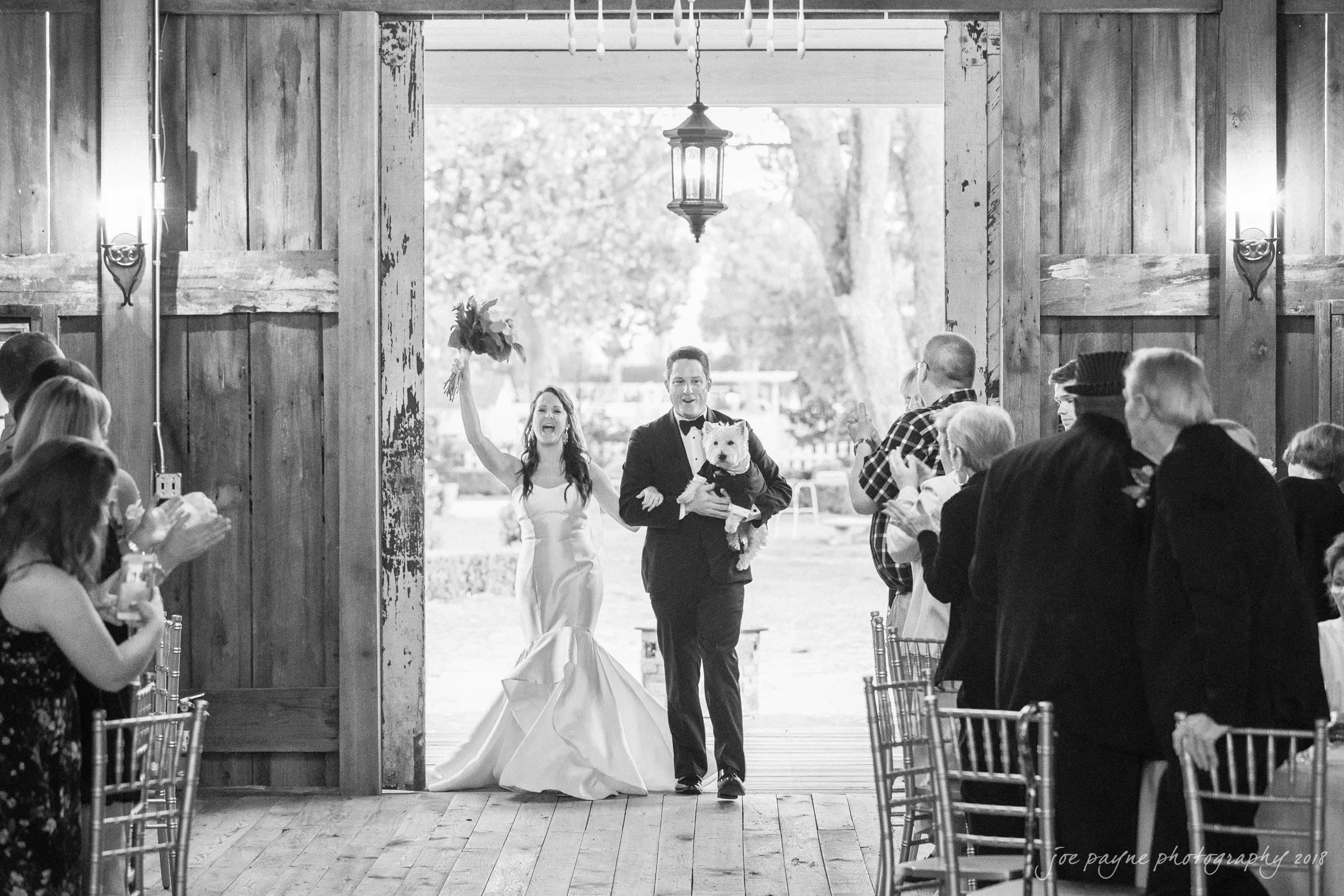 may-lew farm wedding photography - macy & jordan A bride and groom joyfully walk arm-in-arm through rustic barn doors, with the groom holding a small dog. Guests seated on either side applaud. The bride waves her bouquet, and trees are visible outside.