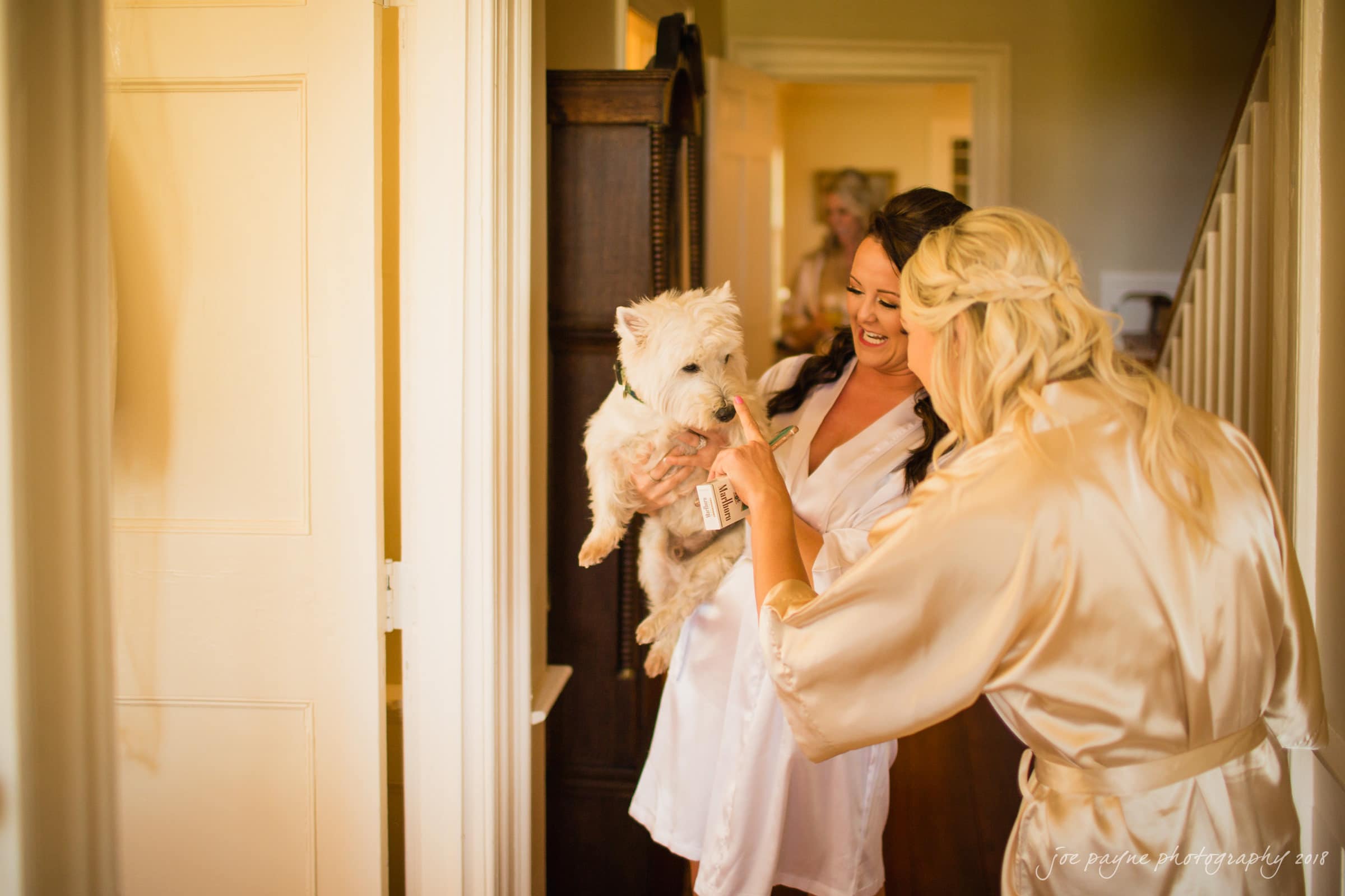 may-lew farm wedding photography - macy & jordan Two people in satin robes smiling at a small white dog theyre holding in a cozy, warmly lit room. The dog is being petted, creating a joyful and intimate atmosphere.