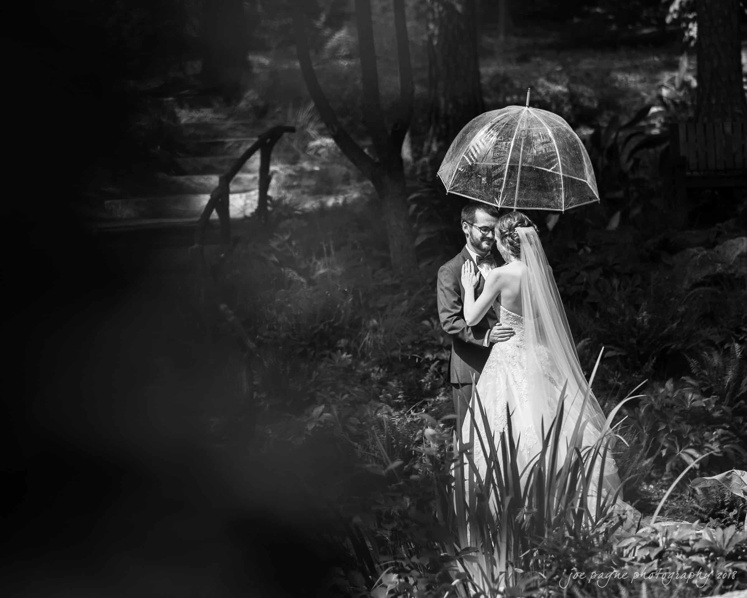 A bride and groom share an intimate moment under a transparent umbrella in a lush, forested area. The black and white image captures their embrace, surrounded by trees and plants, with a gentle play of light and shadow.