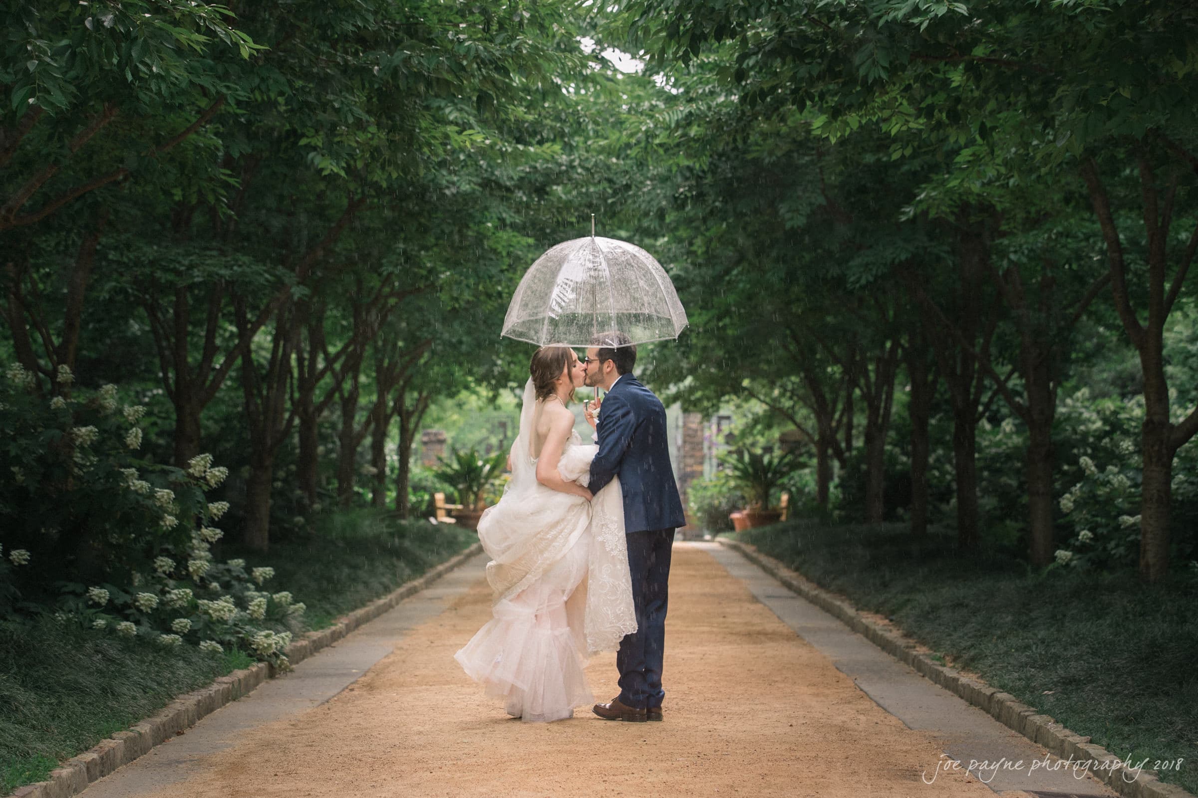 A bride in a white gown and a groom in a suit stand together on a tree-lined path, sharing a transparent umbrella. The lush greenery forms a natural archway above them.