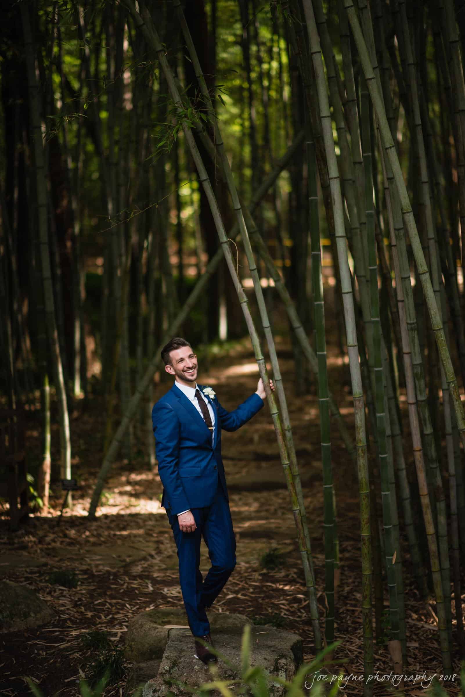 A man in a blue suit stands smiling among tall bamboo stalks in a dense forest. Sunlight filters through the leaves, creating a serene and natural atmosphere. The man casually leans against one of the bamboo stalks.
