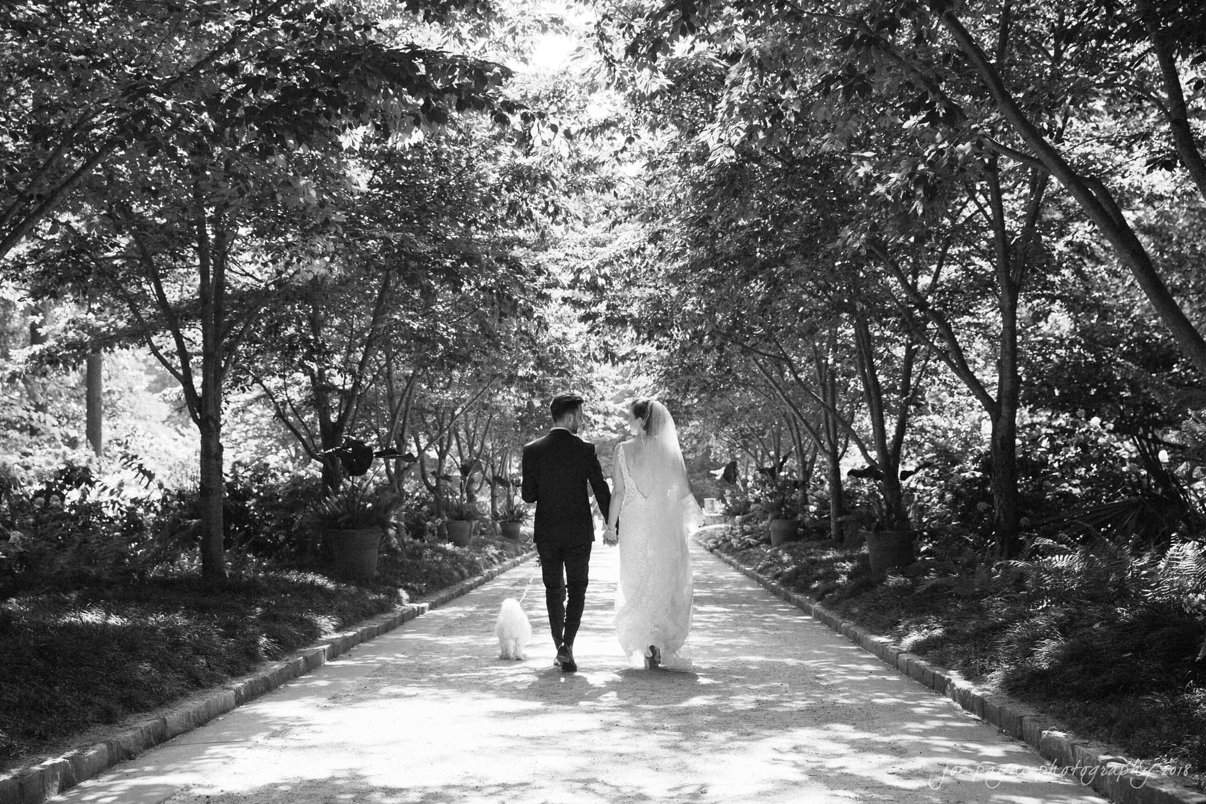 A black and white photo of a bride and groom walking hand in hand down a tree-lined path. Sunlight filters through the leaves, and they are accompanied by a small dog.