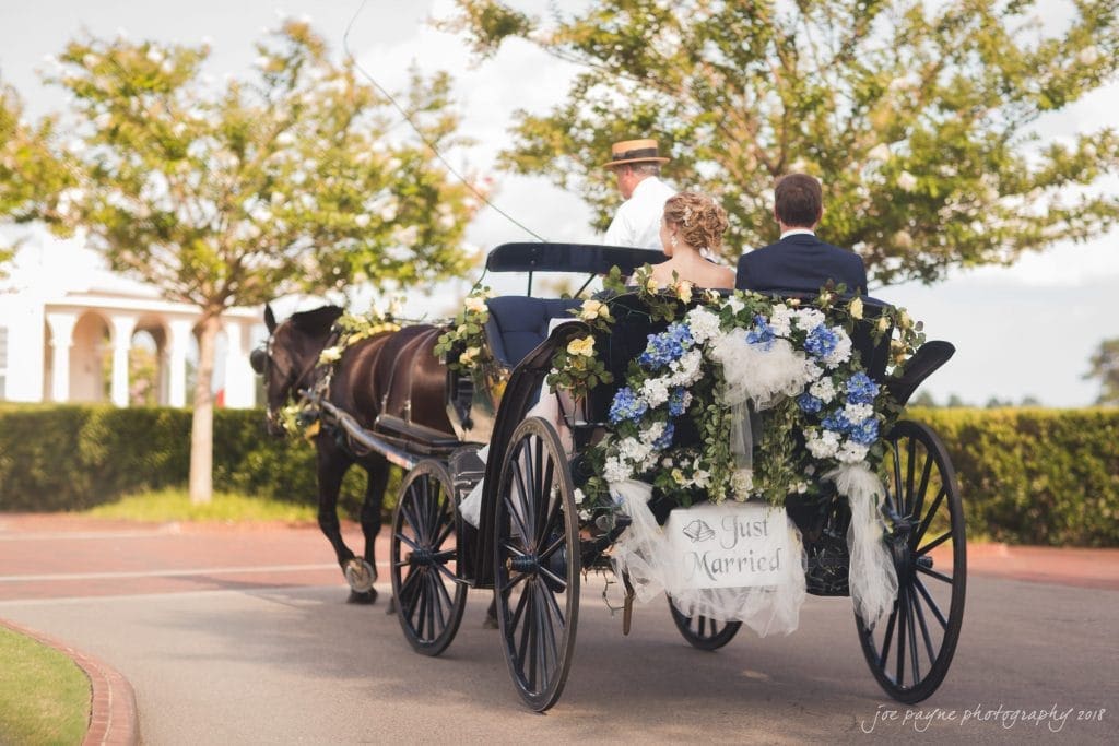 A newlywed couple is riding in a horse-drawn carriage decorated with flowers and a Just Married sign. The carriage is on a scenic path, with trees and a building visible in the background.