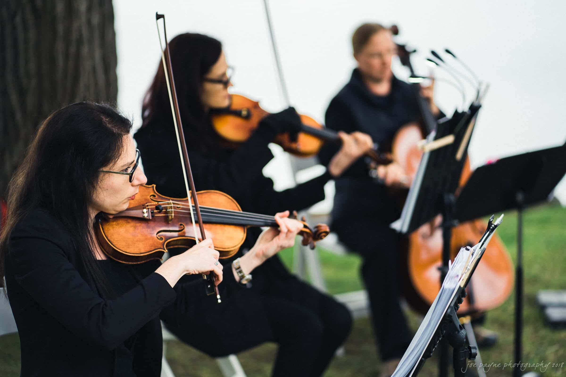 Three musicians dressed in black perform outdoors. The foreground features a violinist with sheet music, while the background includes a violist and a cellist. Theyre seated and focused on their instruments, with a tree nearby.