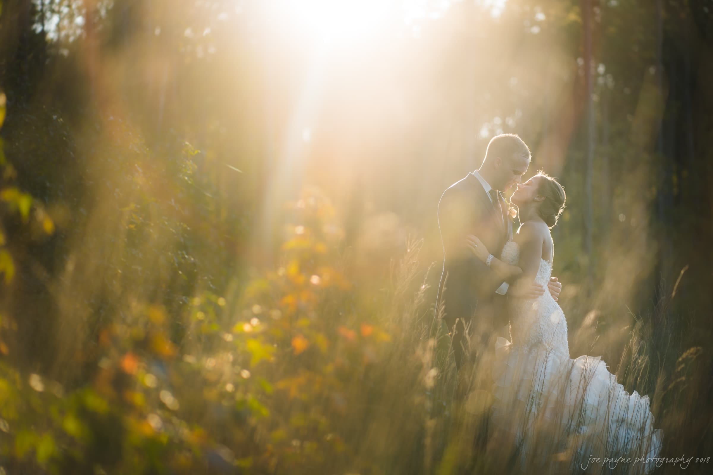 pavilion at carriage farm wedding - ashley & devon A bride and groom stand in a sunlit forest, gazing at each other lovingly. The soft sunlight creates a romantic atmosphere, illuminating the surrounding greenery and casting a warm glow on the couple.