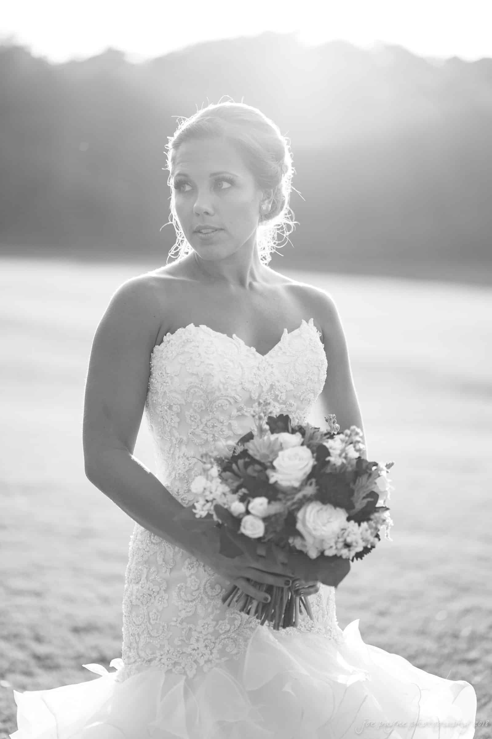 pavilion at carriage farm wedding - ashley & devon A bride stands outdoors in a strapless lace wedding dress, holding a bouquet of flowers. The sun shines brightly, creating a soft, glowing effect around her. The background features an open field with blurred trees.