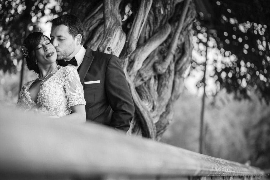 biltmore wedding photographer - anneké & andrew A black and white photo of a couple in wedding attire by a large, twisted tree. The man, in a suit, kisses the womans cheek. She wears a lace dress and smiles. The scene is romantic and serene, with soft focus in the foreground and background.