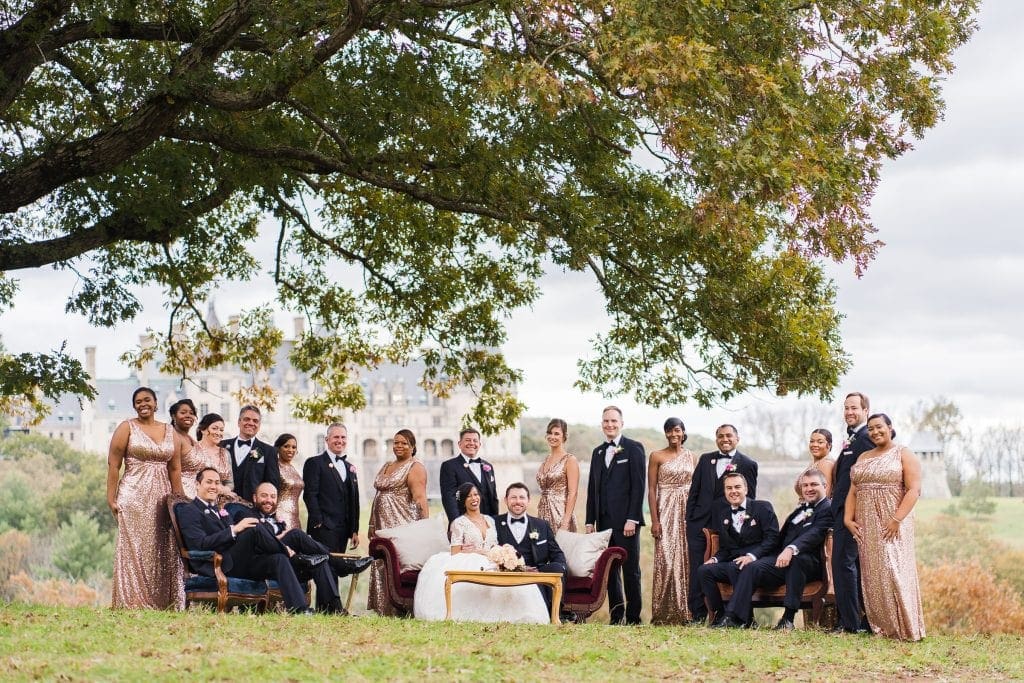 biltmore wedding photographer - anneké & andrew A large wedding party poses outdoors under a tree. The group includes men in black tuxedos and women in gold dresses, seated and standing on a grassy lawn with a scenic backdrop of trees and a castle-like structure.