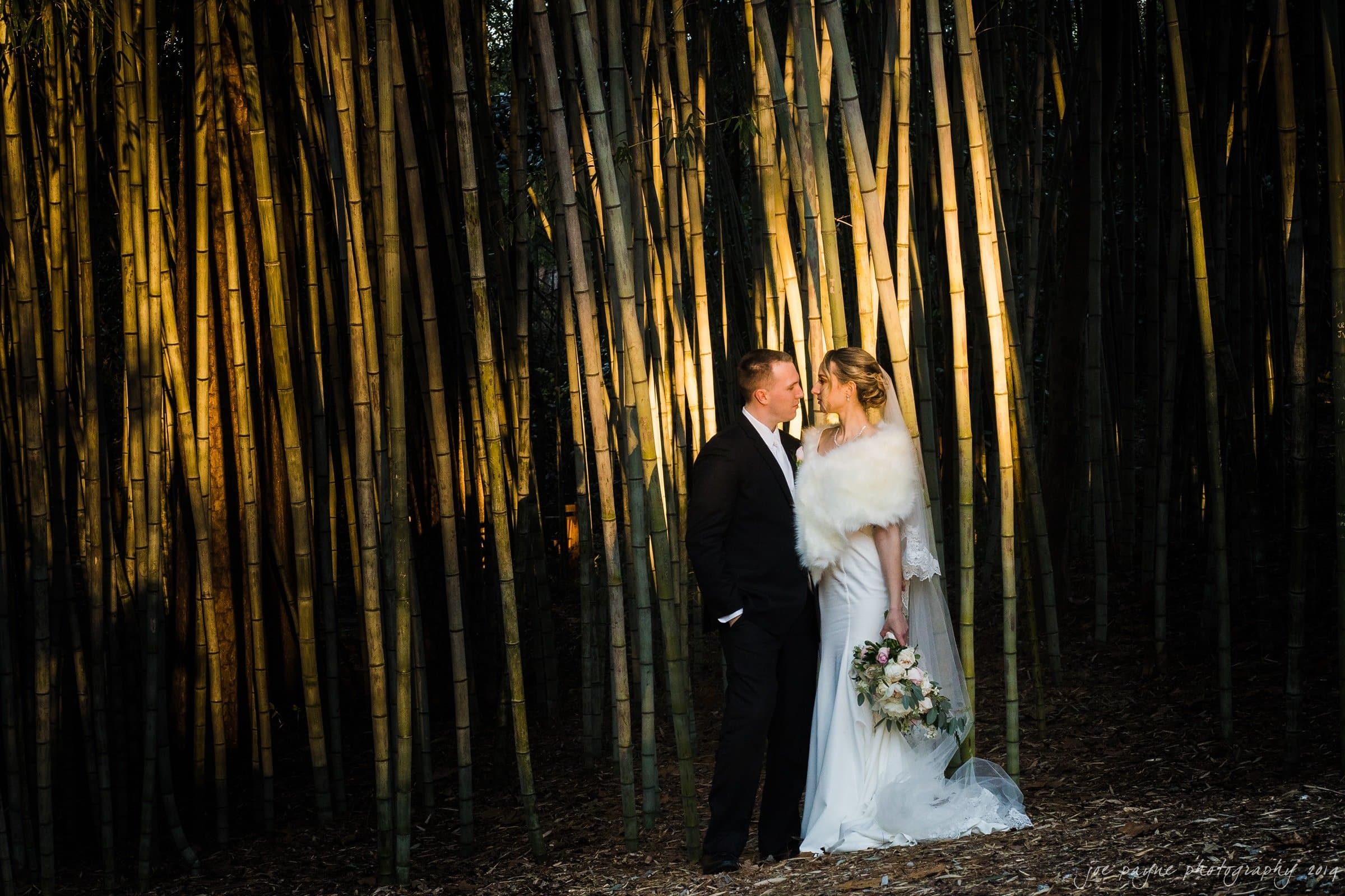 carolina inn & duke chapel wedding - kathleen & michael A bride and groom stand together in a bamboo forest, illuminated by warm sunlight filtering through the trees. The bride wears a fur shawl and holds a bouquet, while the groom is dressed in a black suit.