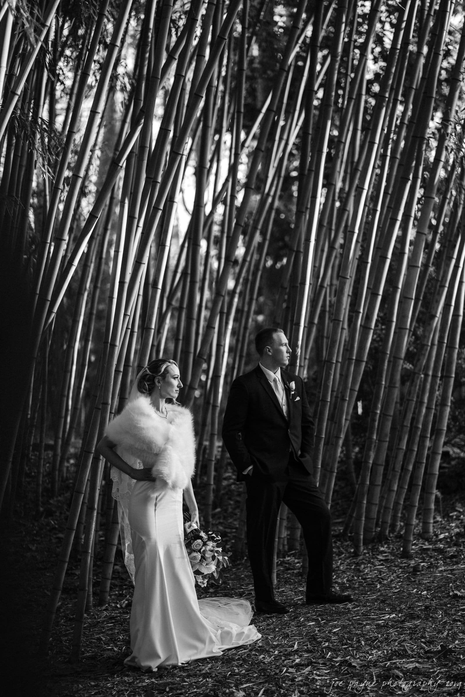 carolina inn & duke chapel wedding - kathleen & michael A bride and groom stand in a forest of tall bamboo, gazing thoughtfully into the distance. The bride wears a long dress with a fur stole, holding a bouquet. The groom is in a suit, with hands in pockets. The scene is captured in black and white.