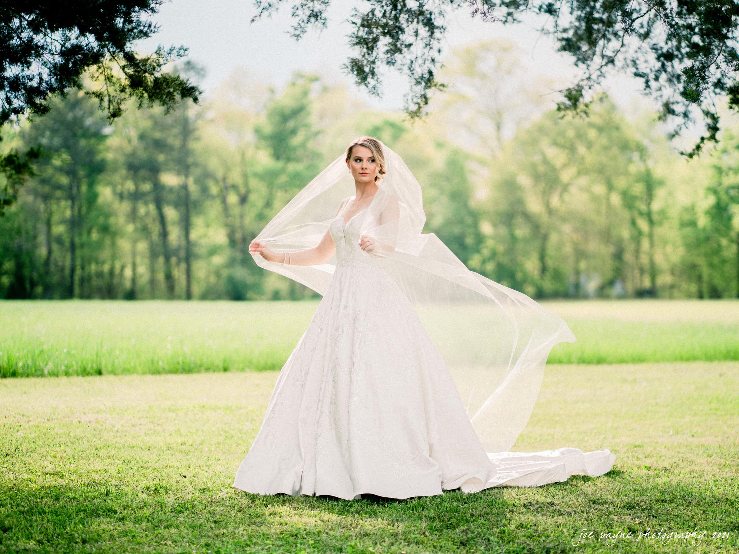 A bride in a flowing white wedding gown and veil stands on green grass with a backdrop of trees and a bright sky. Her hands hold the edges of her veil, and she looks ahead calmly. The scene is serene and natural.