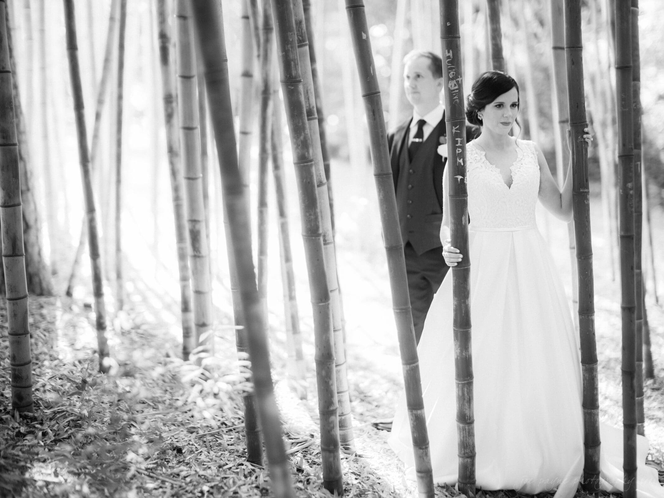 cotton room wedding photographer - kate & martin A bride and groom stand among tall bamboo stalks in a forest. The bride is wearing a white gown and the groom is in a dark suit. Sunlight filters through the trees, creating a serene atmosphere.