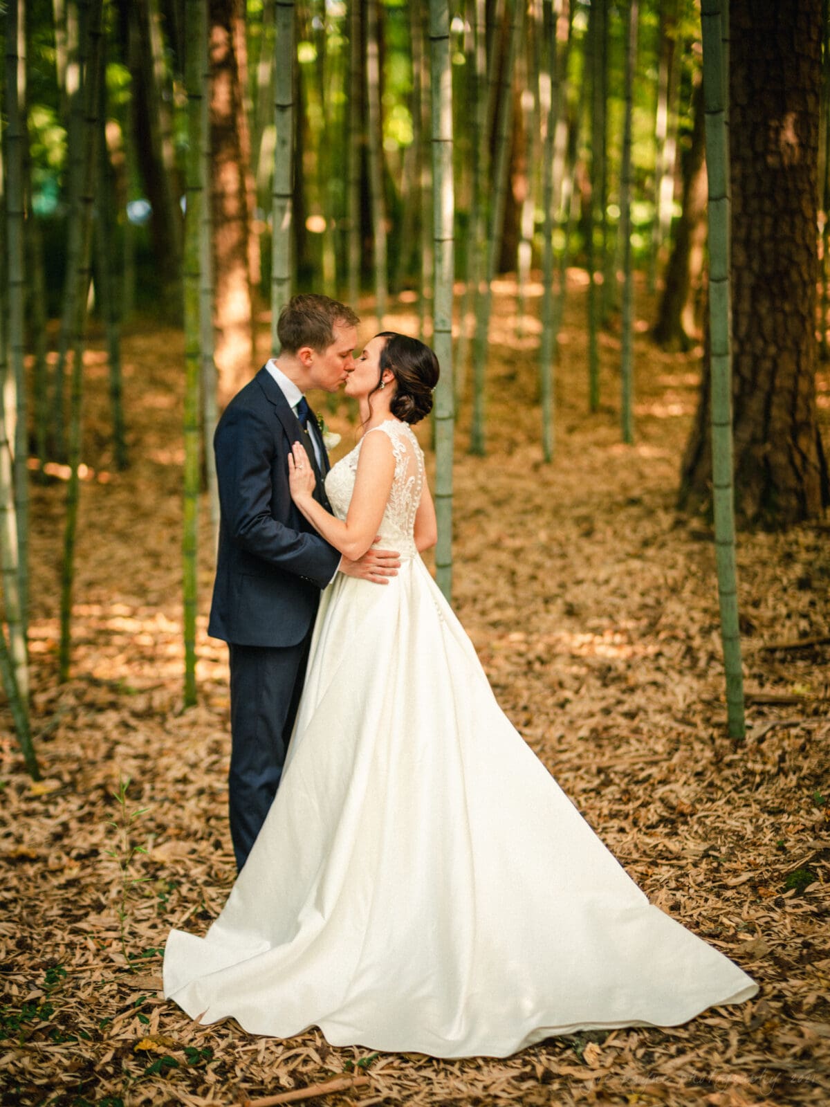 cotton room wedding photographer - kate & martin A bride and groom share a kiss in a forest filled with tall bamboo. The bride wears a long white gown, and the groom is in a dark suit. Sunlight filters through the trees, casting dappled shadows on the leaf-covered ground.
