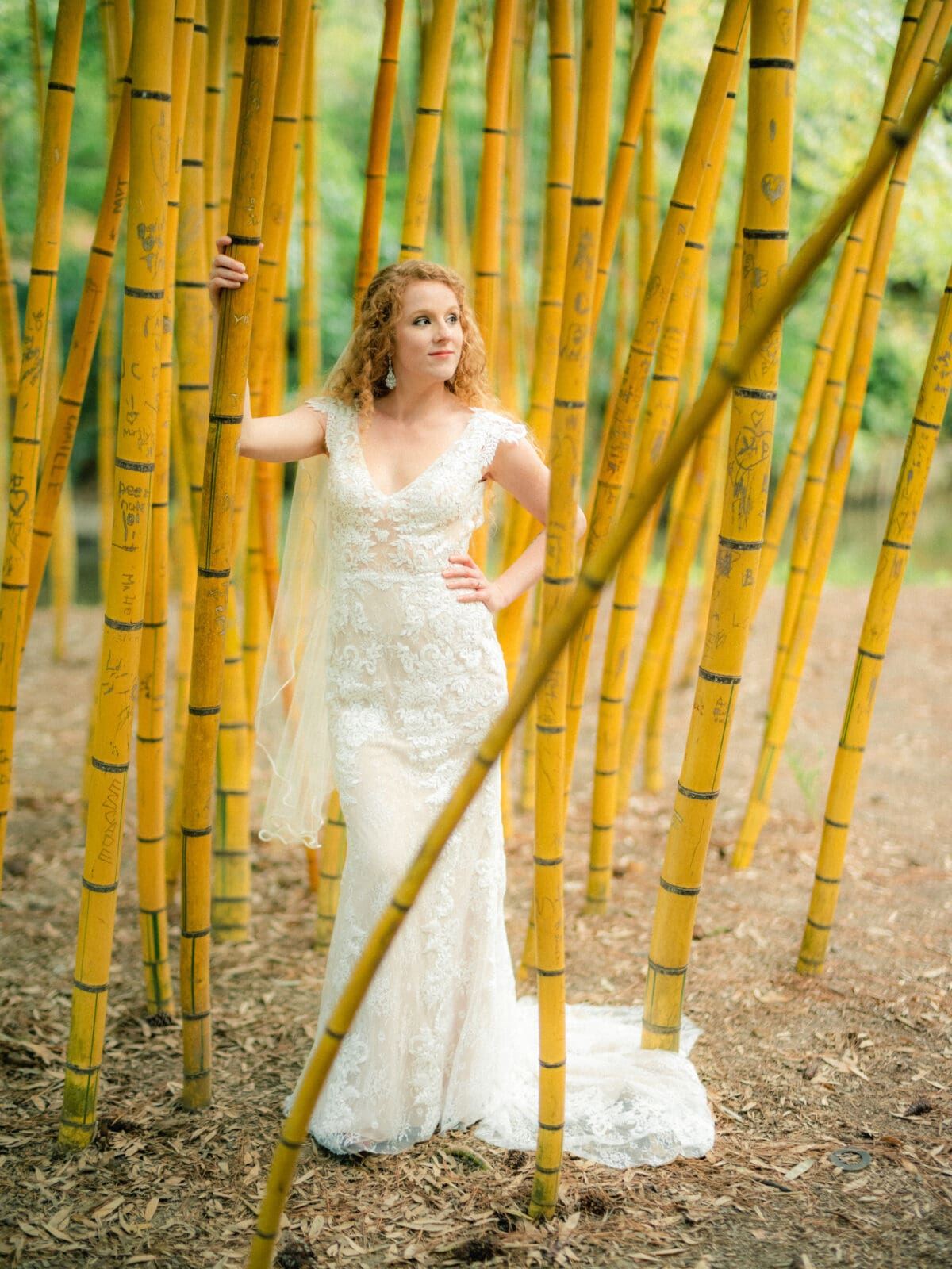 A woman in a lace wedding dress stands amidst tall bamboo stalks, gazing to the side. The setting is serene, surrounded by green foliage and a natural path covered with leaves.